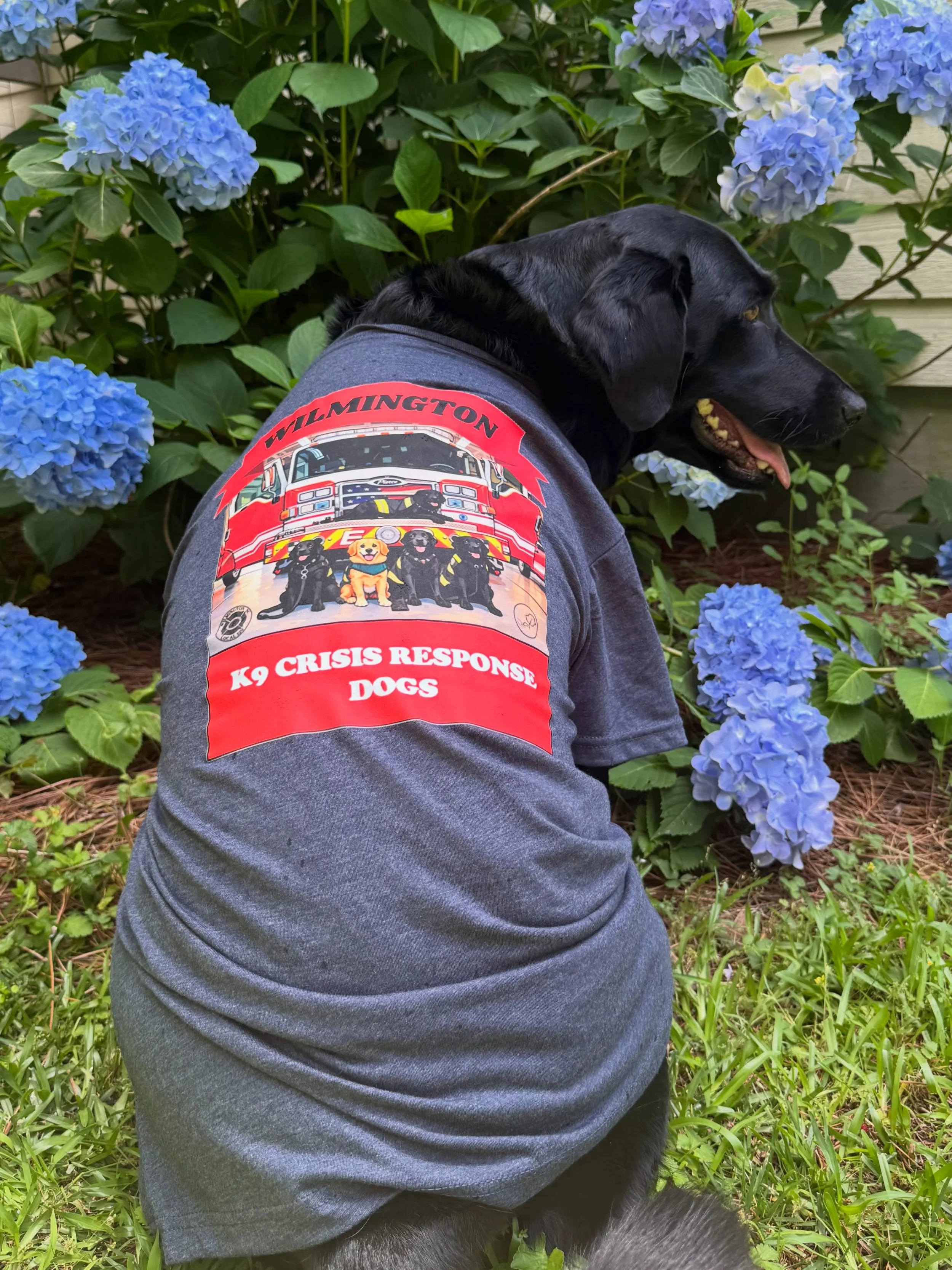🐾 K9 Response Shirts Are Here! 🐾

If you preordered a K9 Response shirt, your order is now available for pickup at Fire Headquarters, 801 Market Street.

Didn&rsquo;t preorder? You&rsquo;re in luck! We still have a limited supply of approximately 5