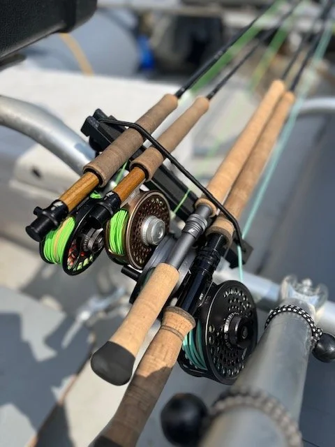 and reel fishing trip items 20 Items to Bring on A Deep-Sea Charter Fishing Trip