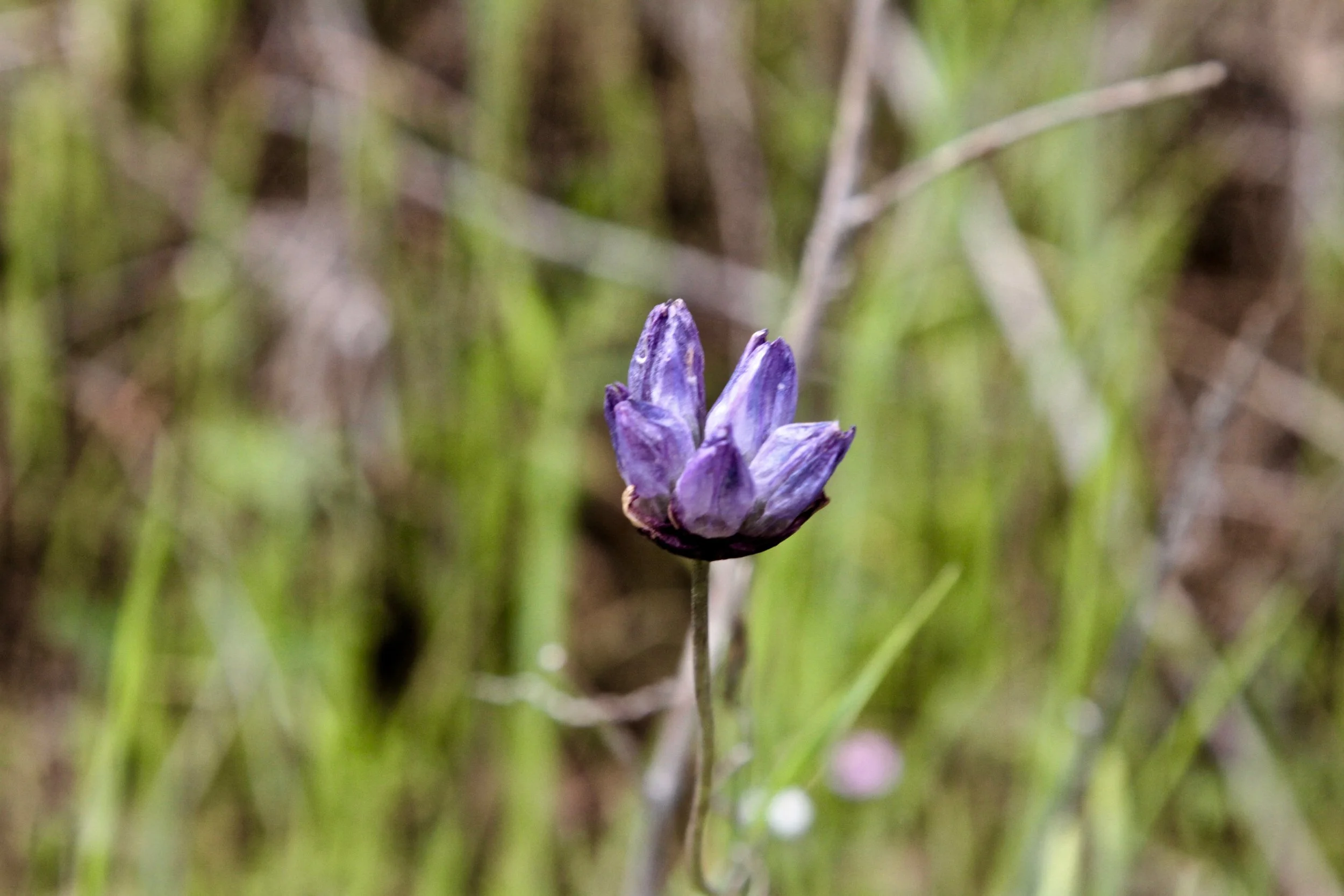 image_web_tes_5.jpg