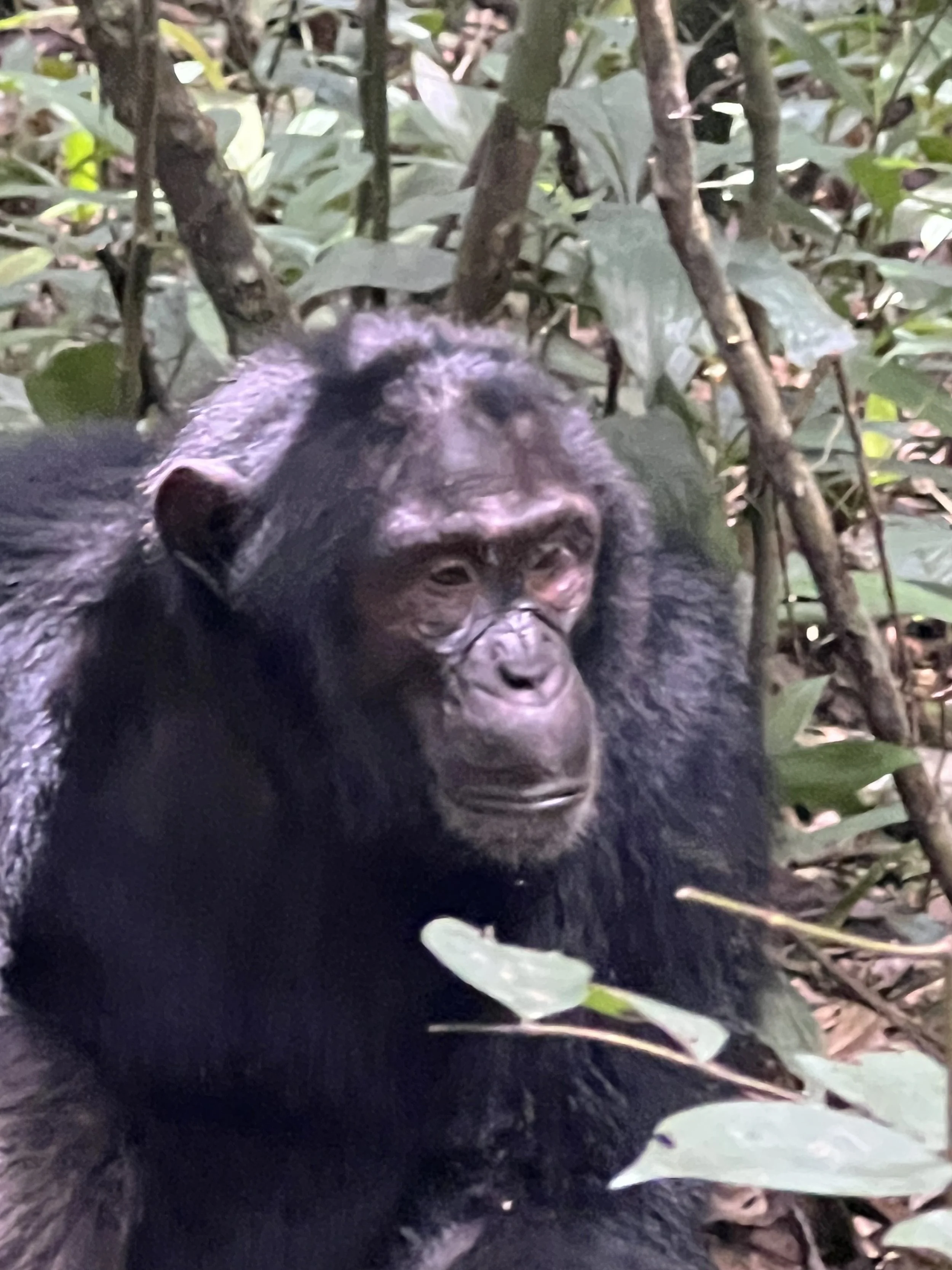 Uganda Challenge