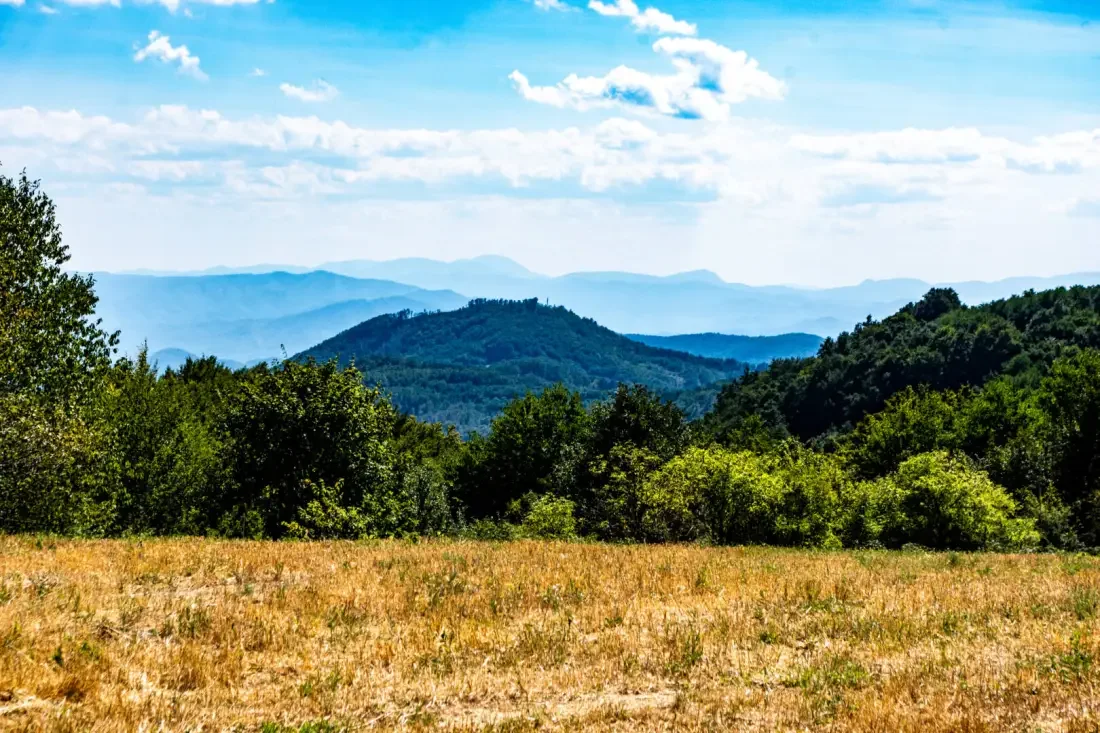 A179B081-F394-4A93-9437-F9E6091188BB.webp
