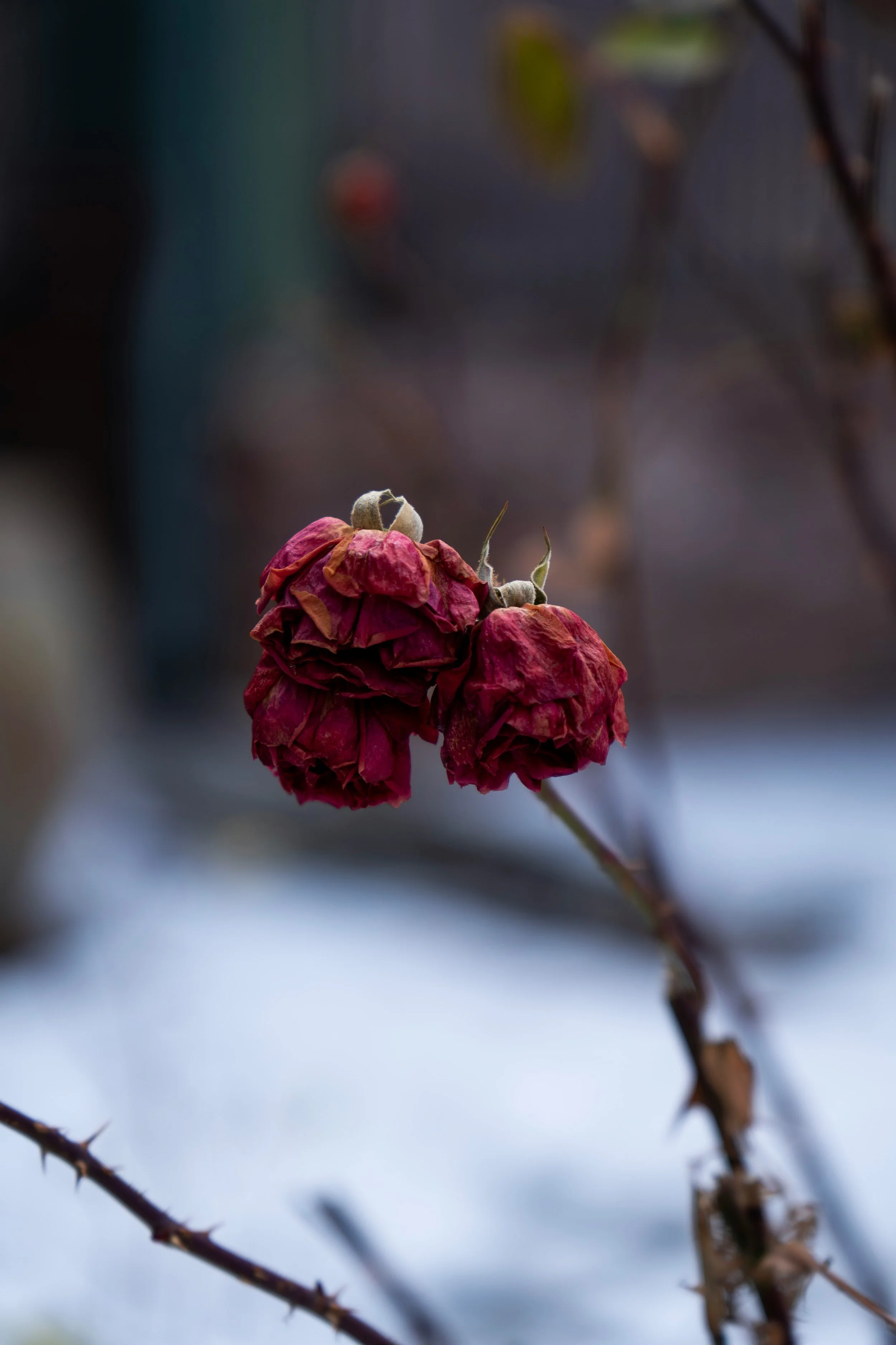 When Therapy Has Failed You Before: Why It’s Still Worth Trying Again