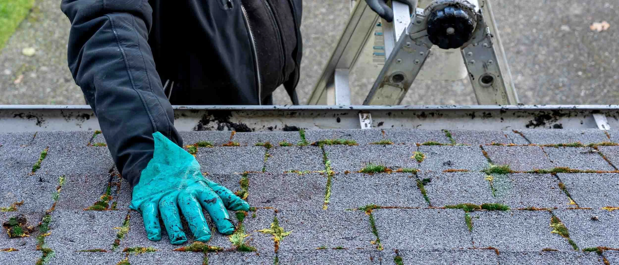 Worn asphalt shingle roof showing signs of age and storm exposure