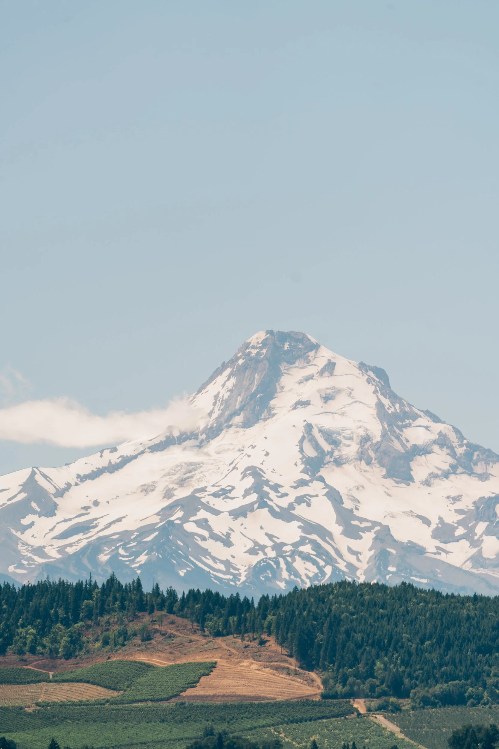 crag rat hut wedding photographer-1.jpg