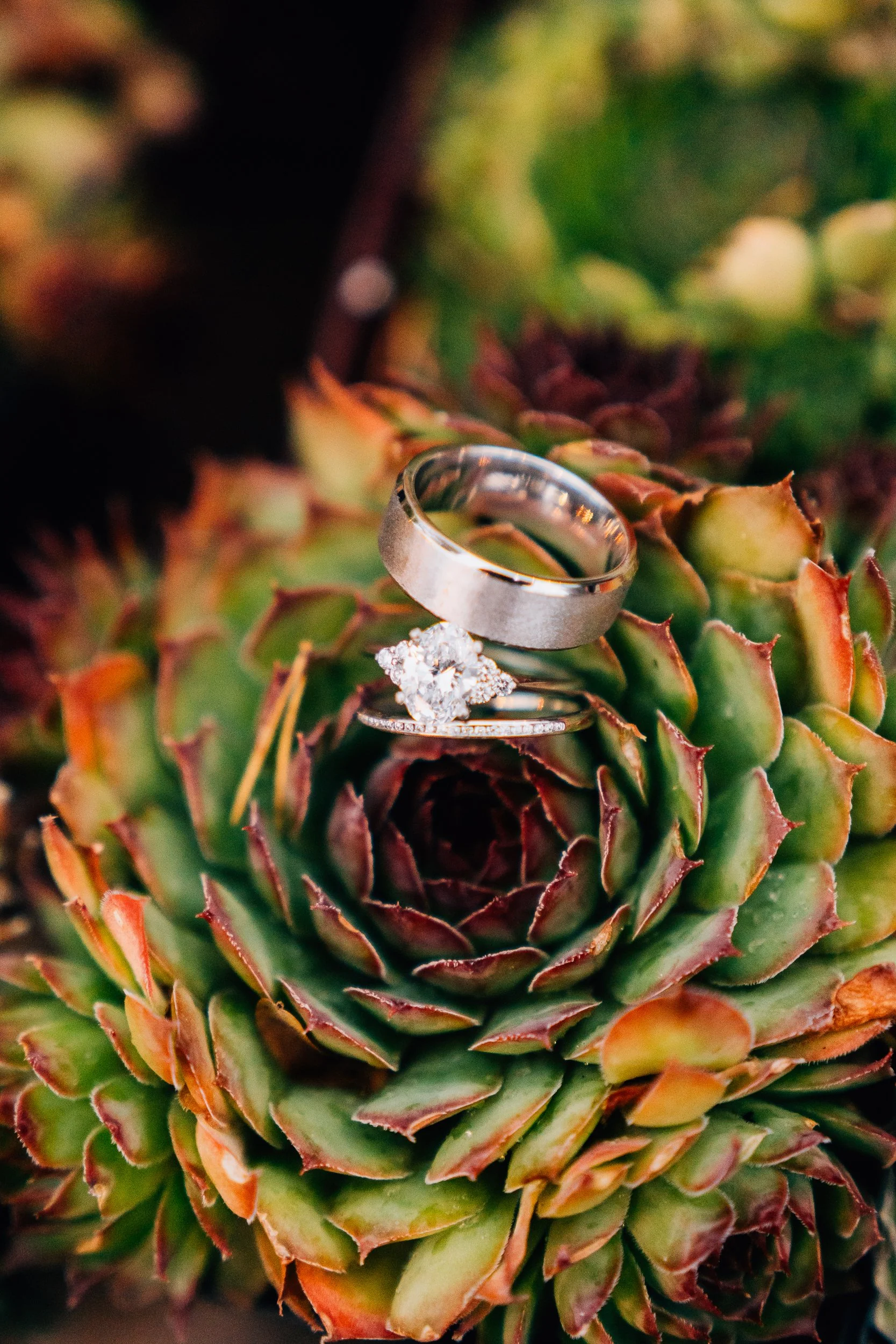 Portland wedding photographer & videographer-69.jpg