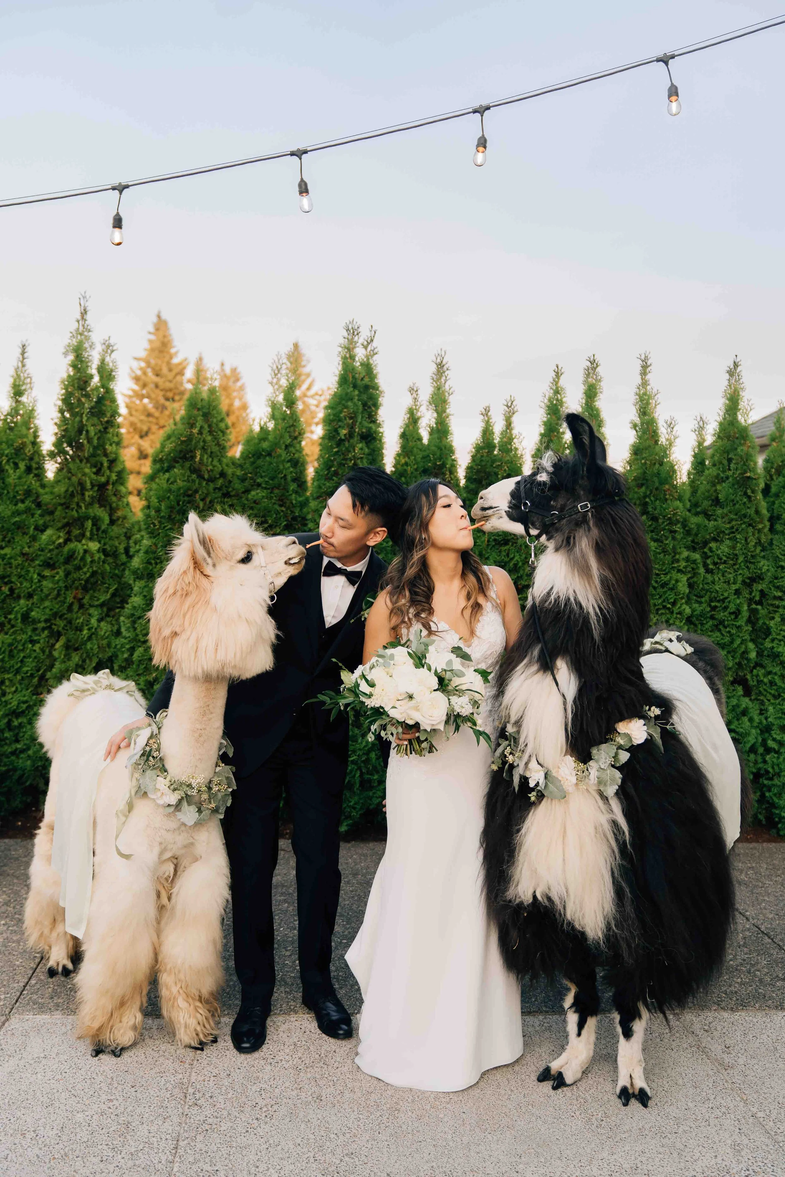 Oregon Golf Clun Wedding photographer -77.jpg