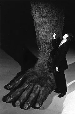 David speaks with Kong