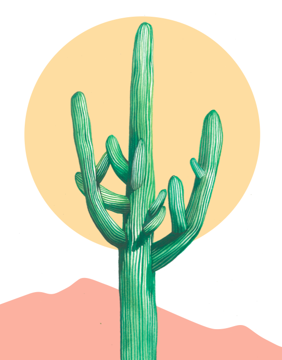 Saguaro