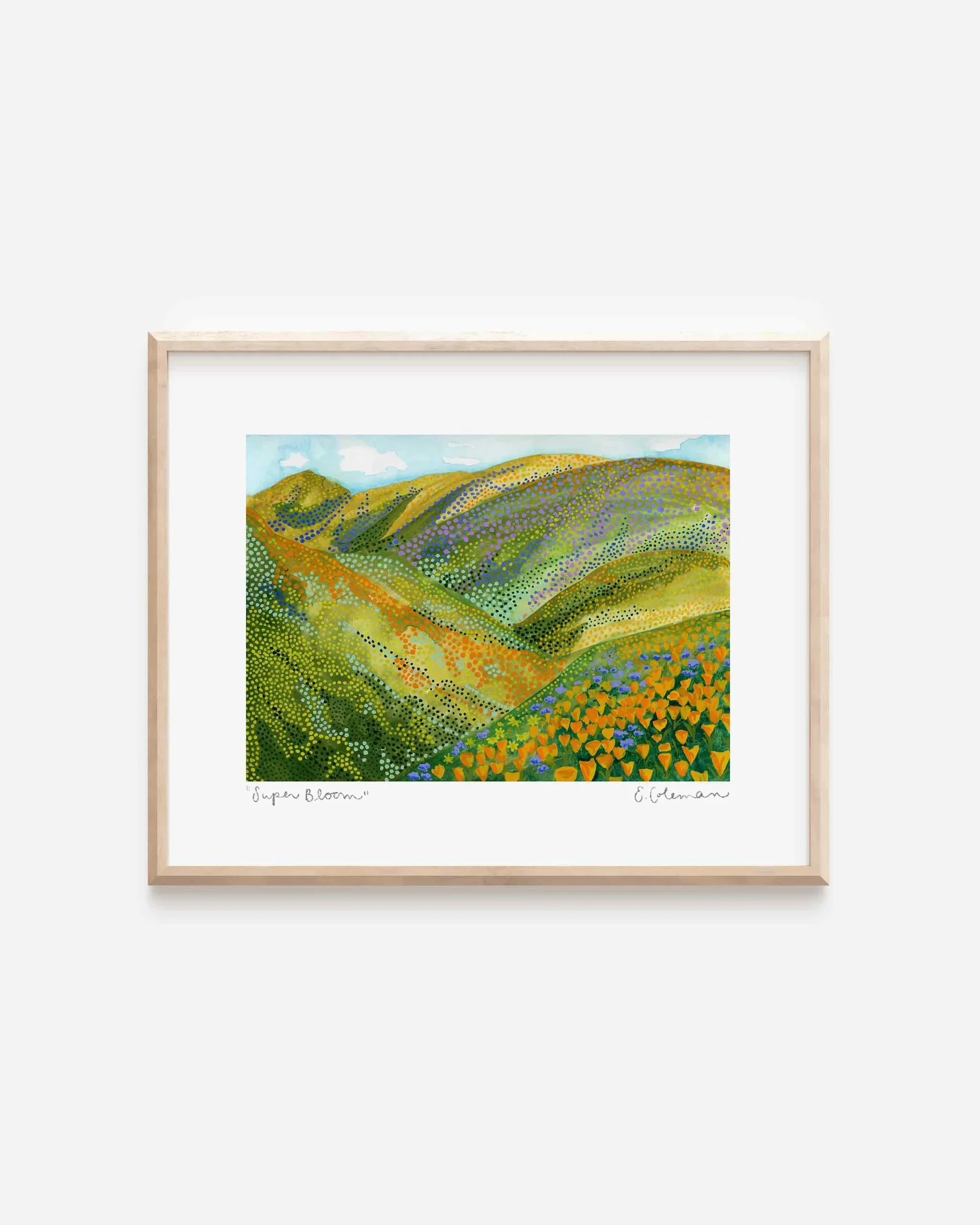 superbloom.jpeg