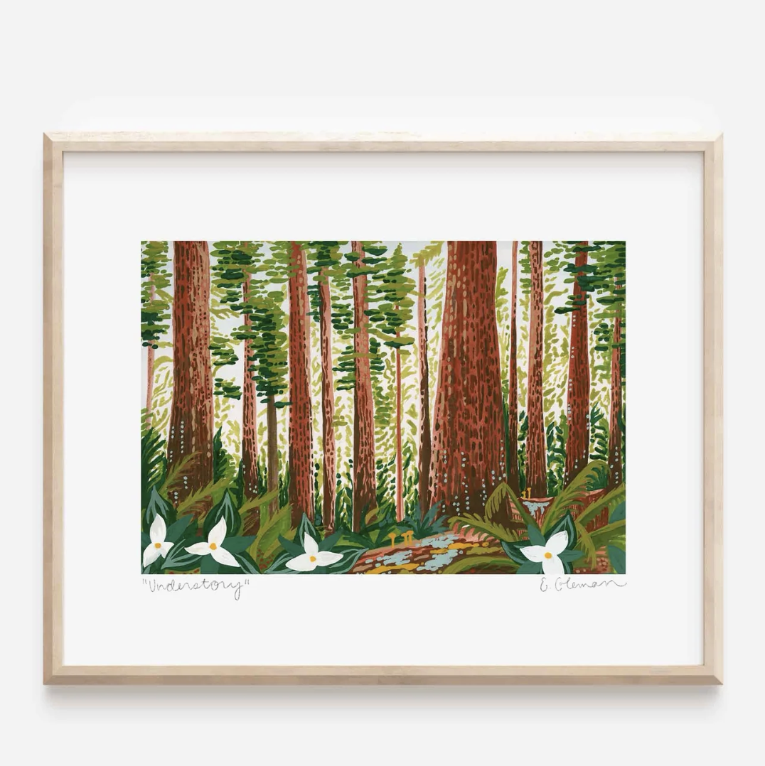 Redwood Understory Print