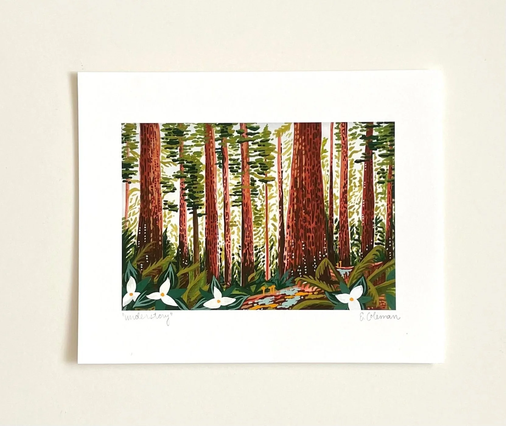 redwood2.jpeg