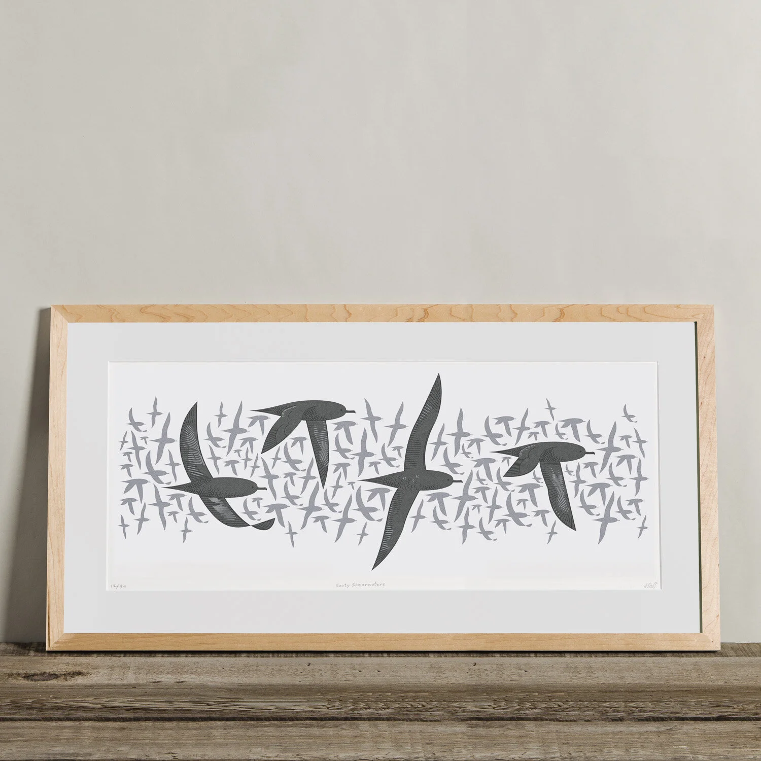 Sooty Shearwaters Print