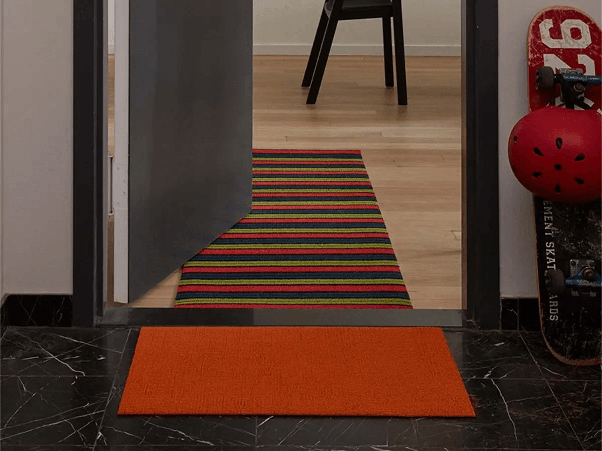 shagcaraed_1 (1).png