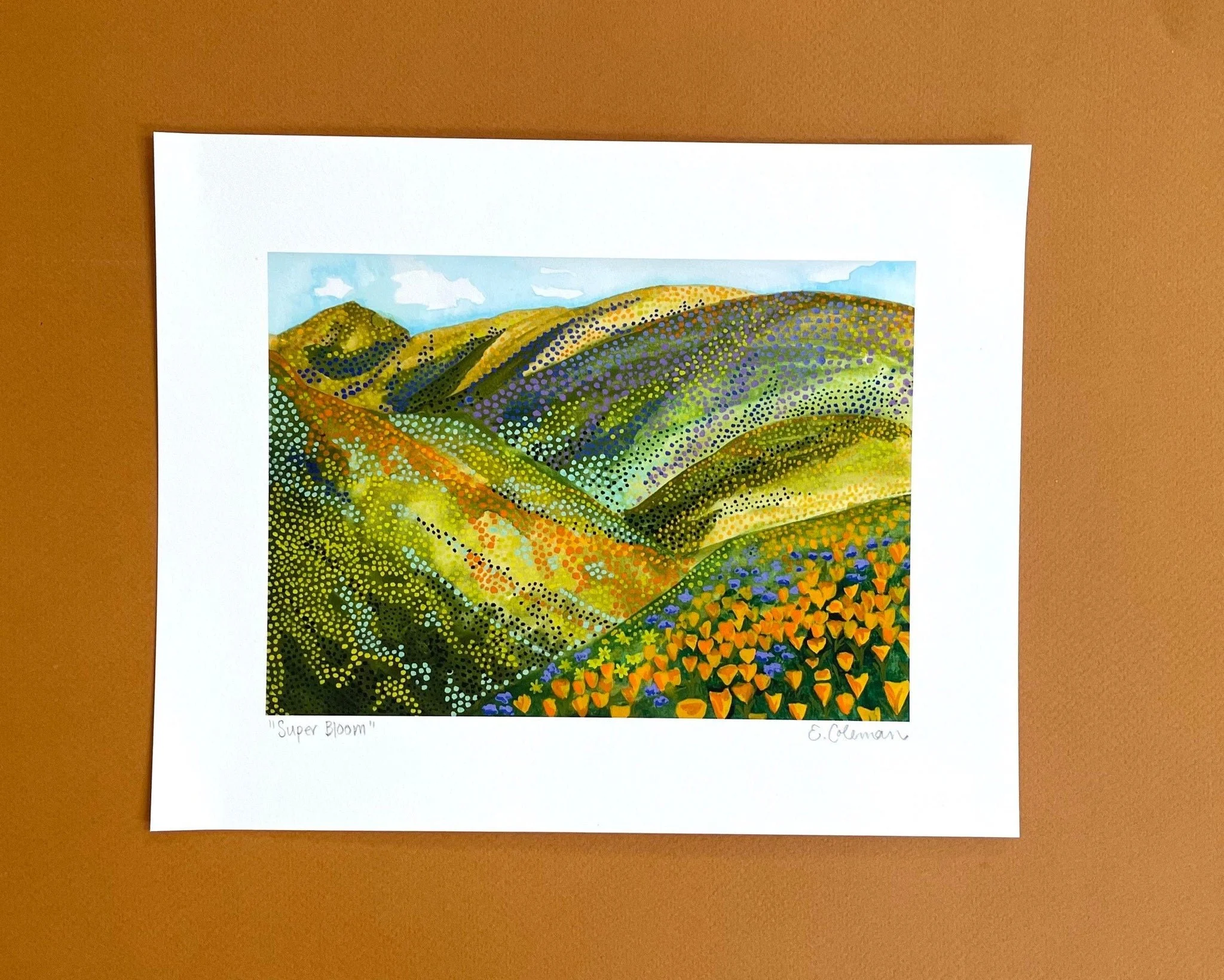 superbloom1.jpg