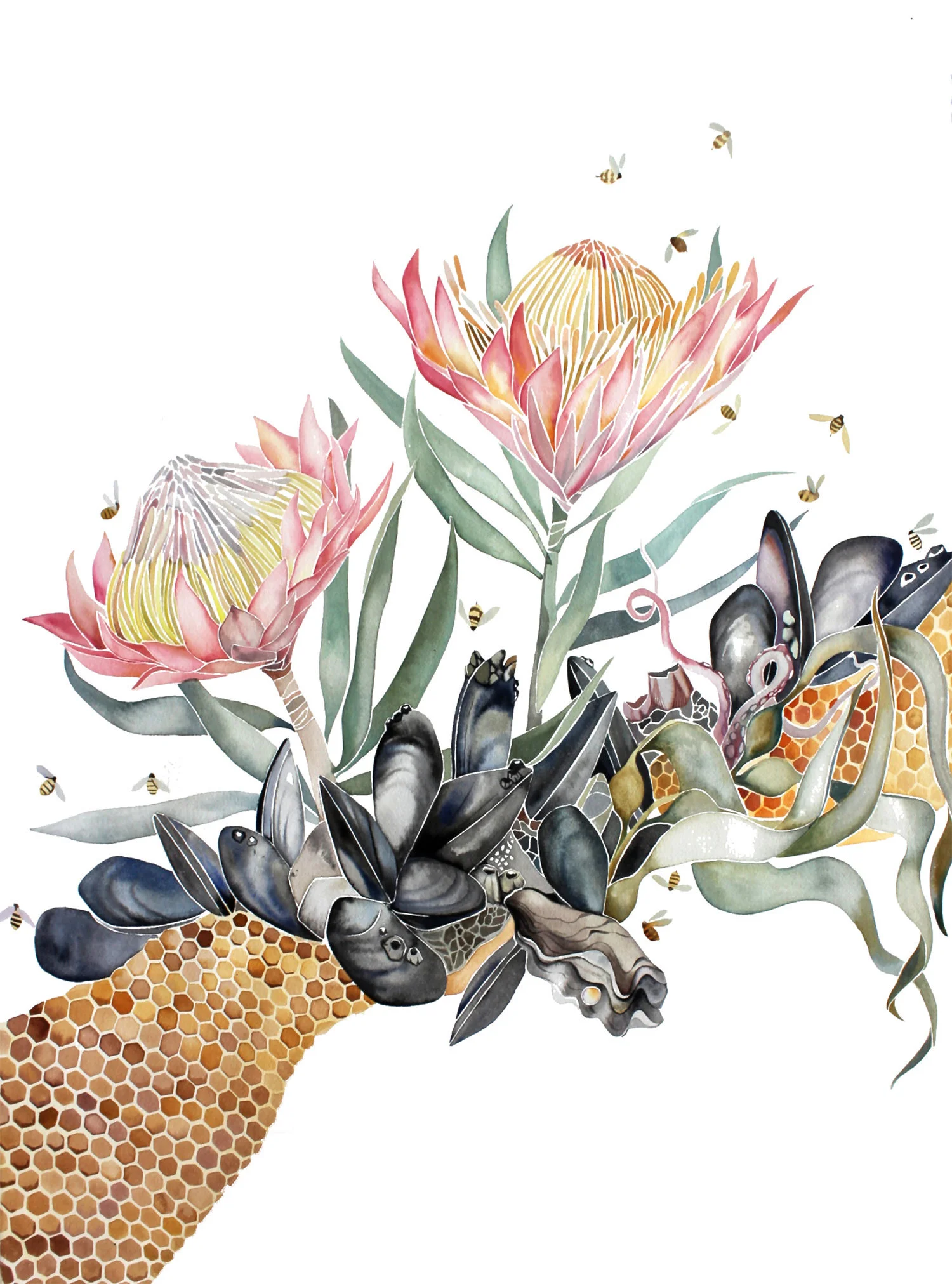 Mussels, Protea, Honeycomb, Bees