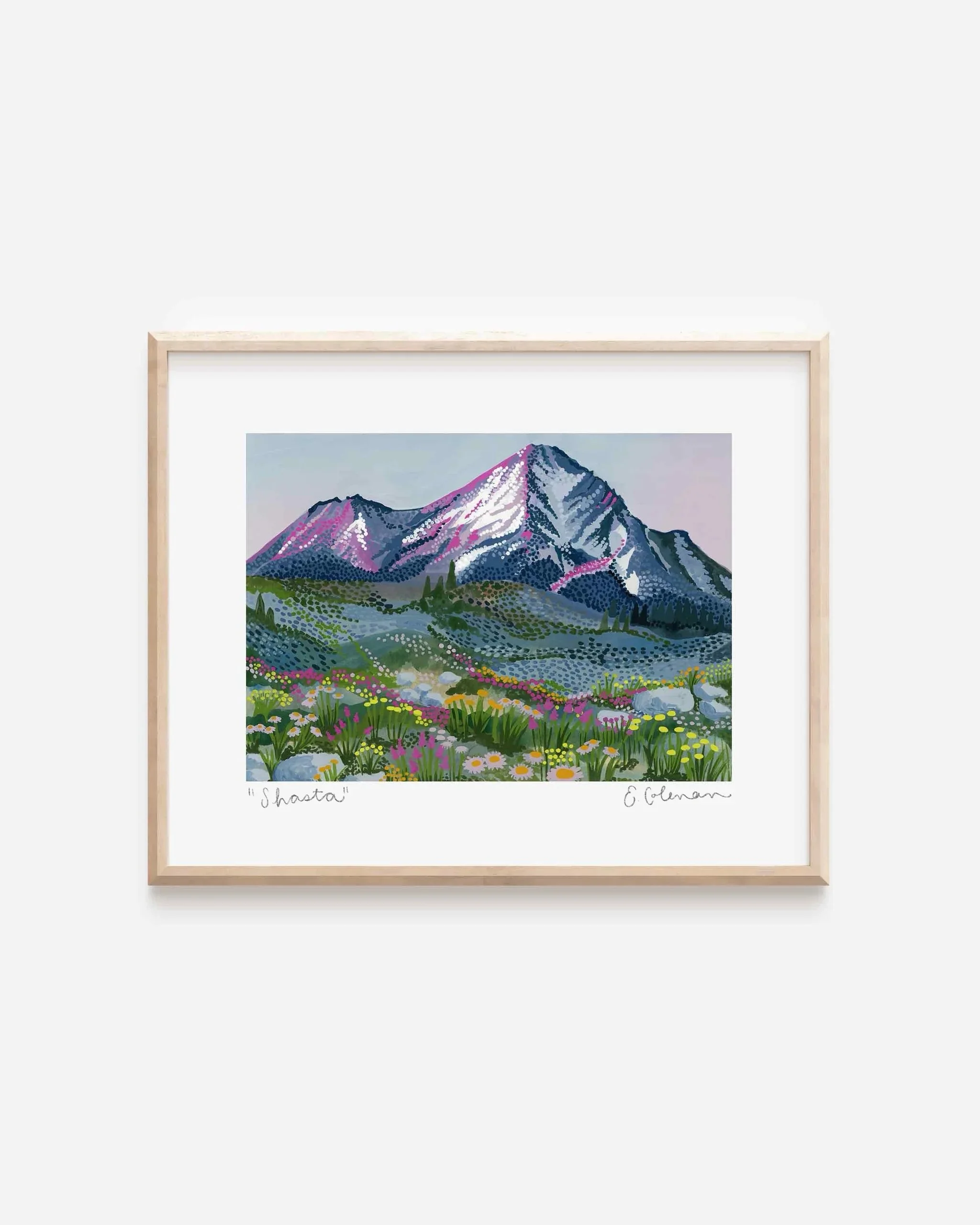shasta.jpeg