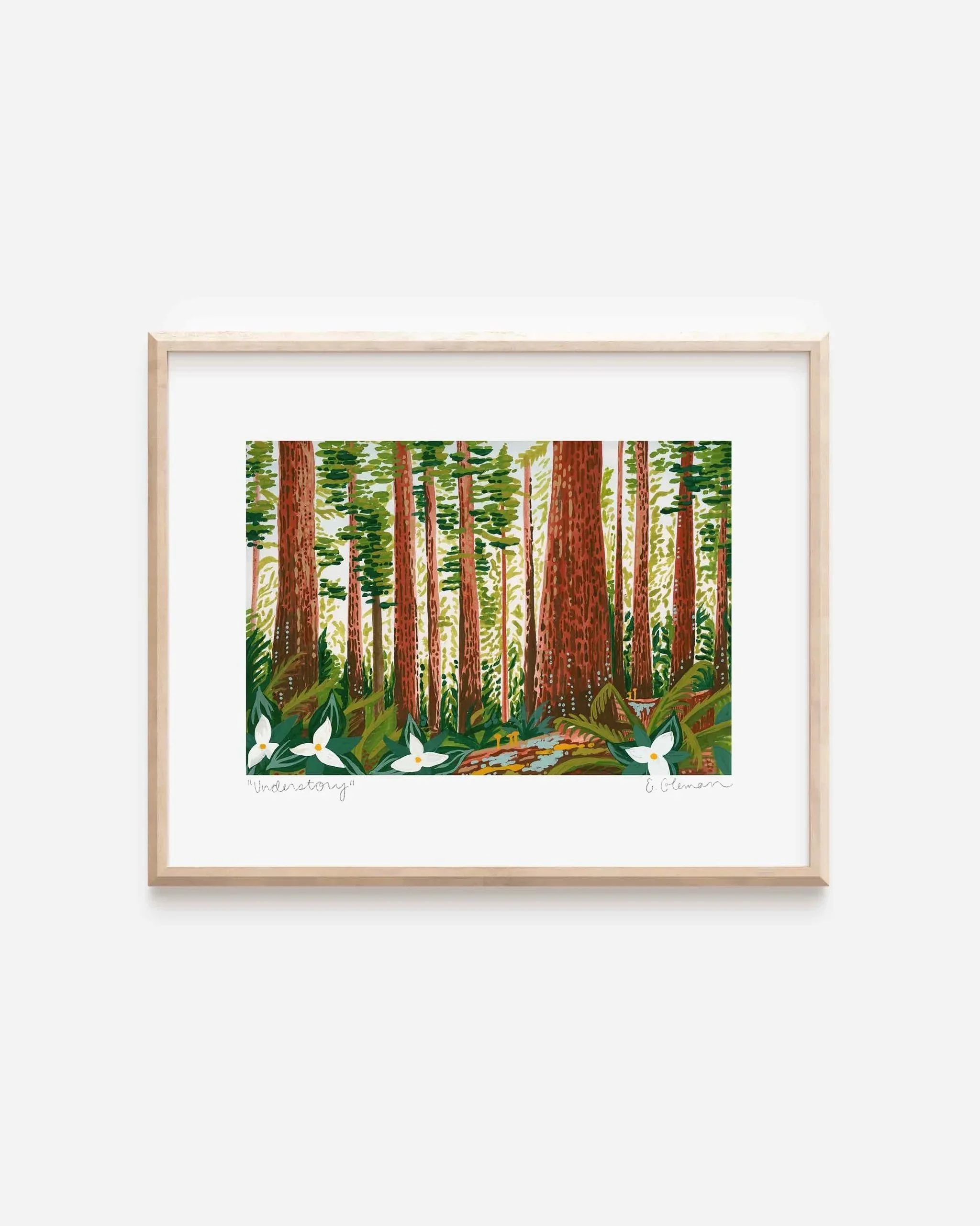 redwood1.jpeg