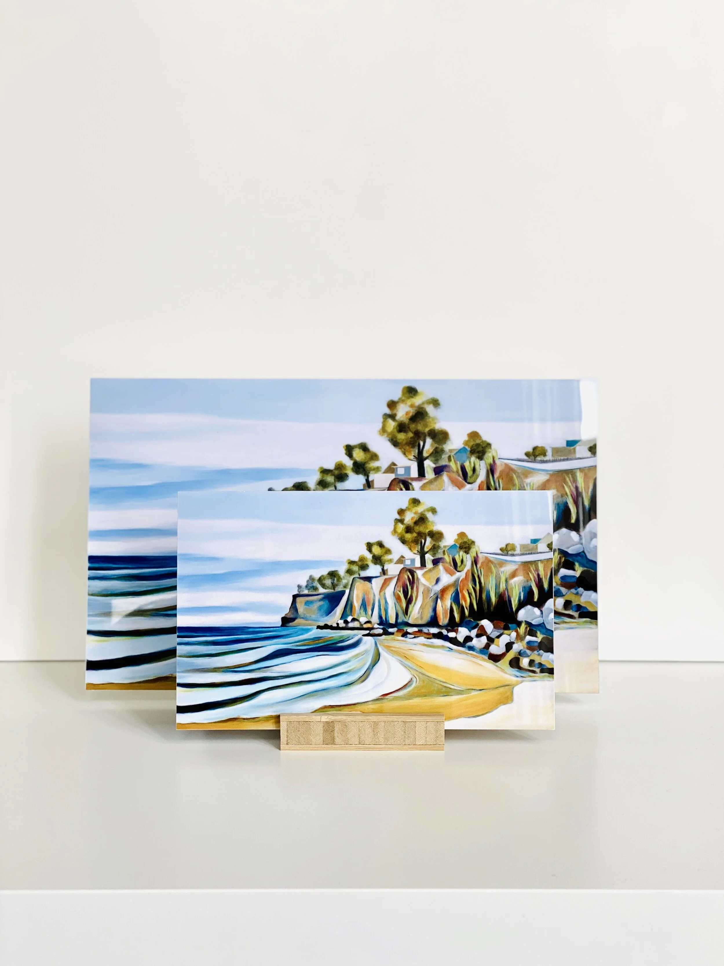 Pleasure Point Metal Minis