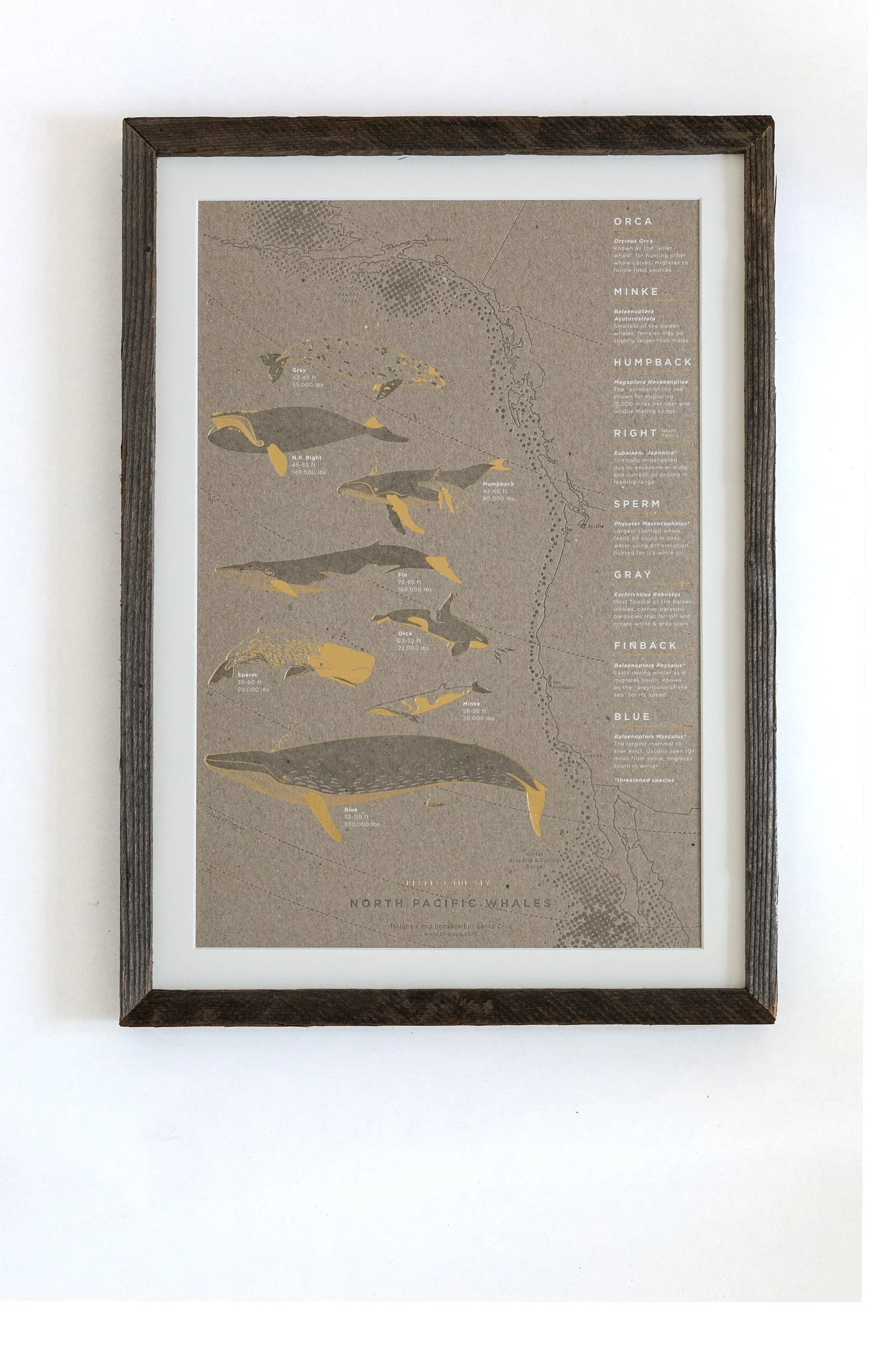 North Pacific Whales - Chip Board