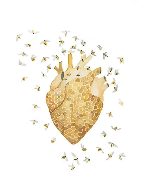 Honey Heart