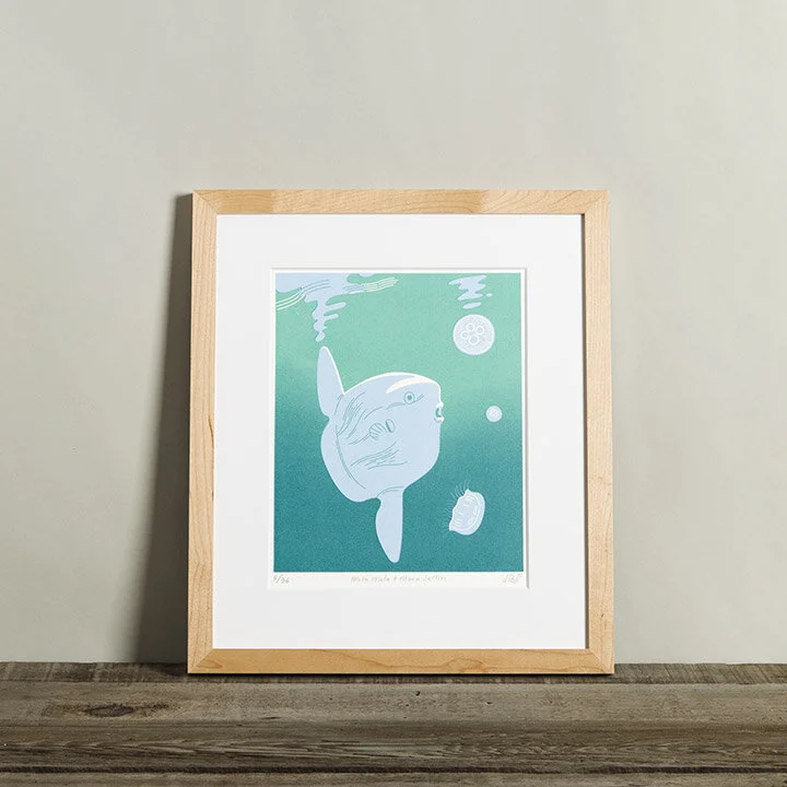 Mola Mola Print