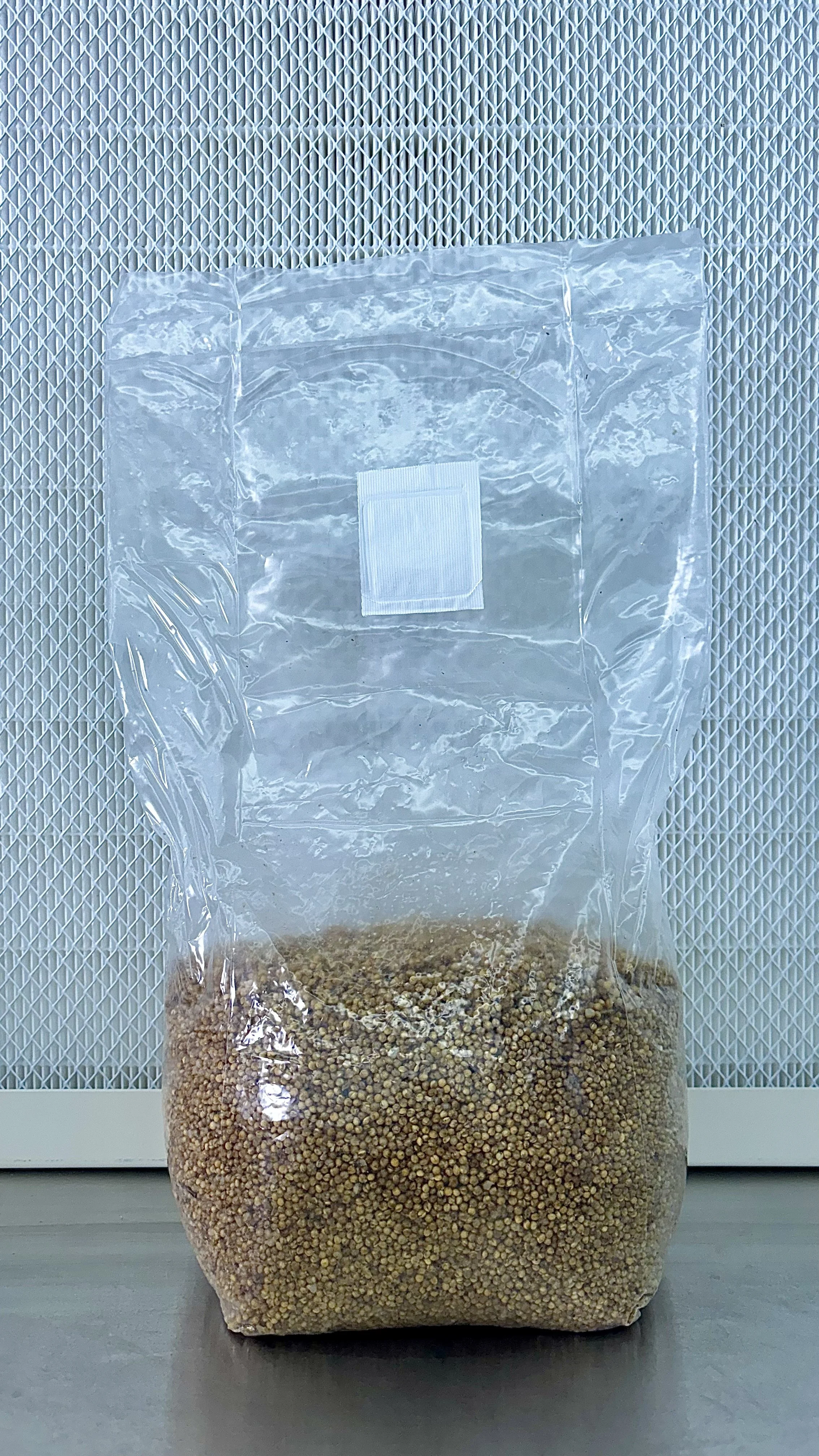 Sac de grains stérélisés 1.5kg