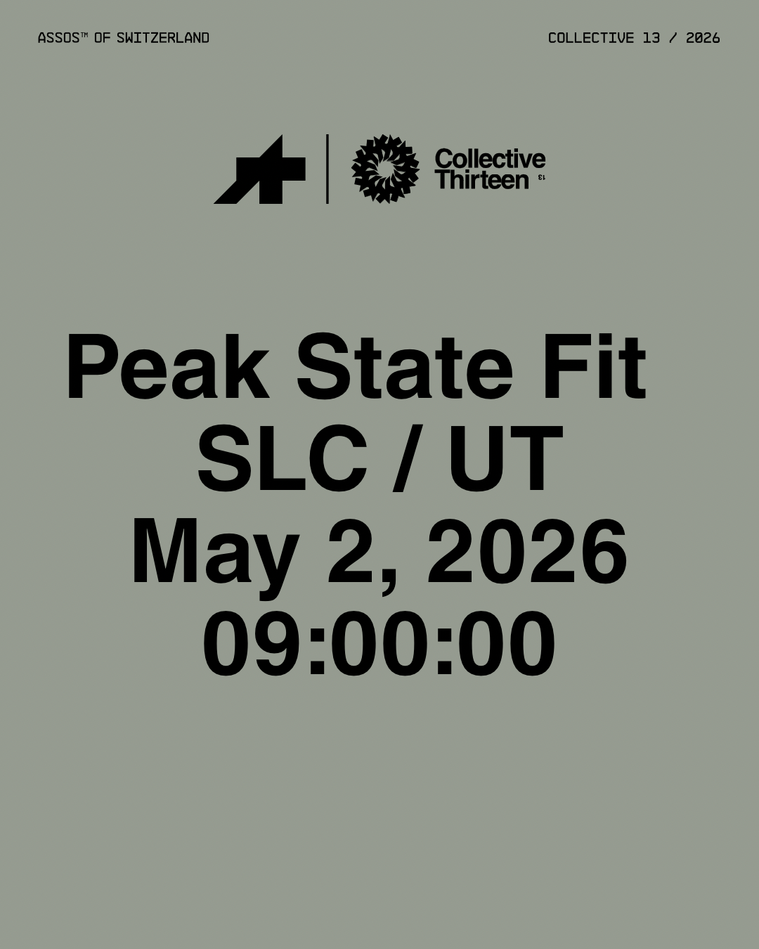 Peak State Fit x C13