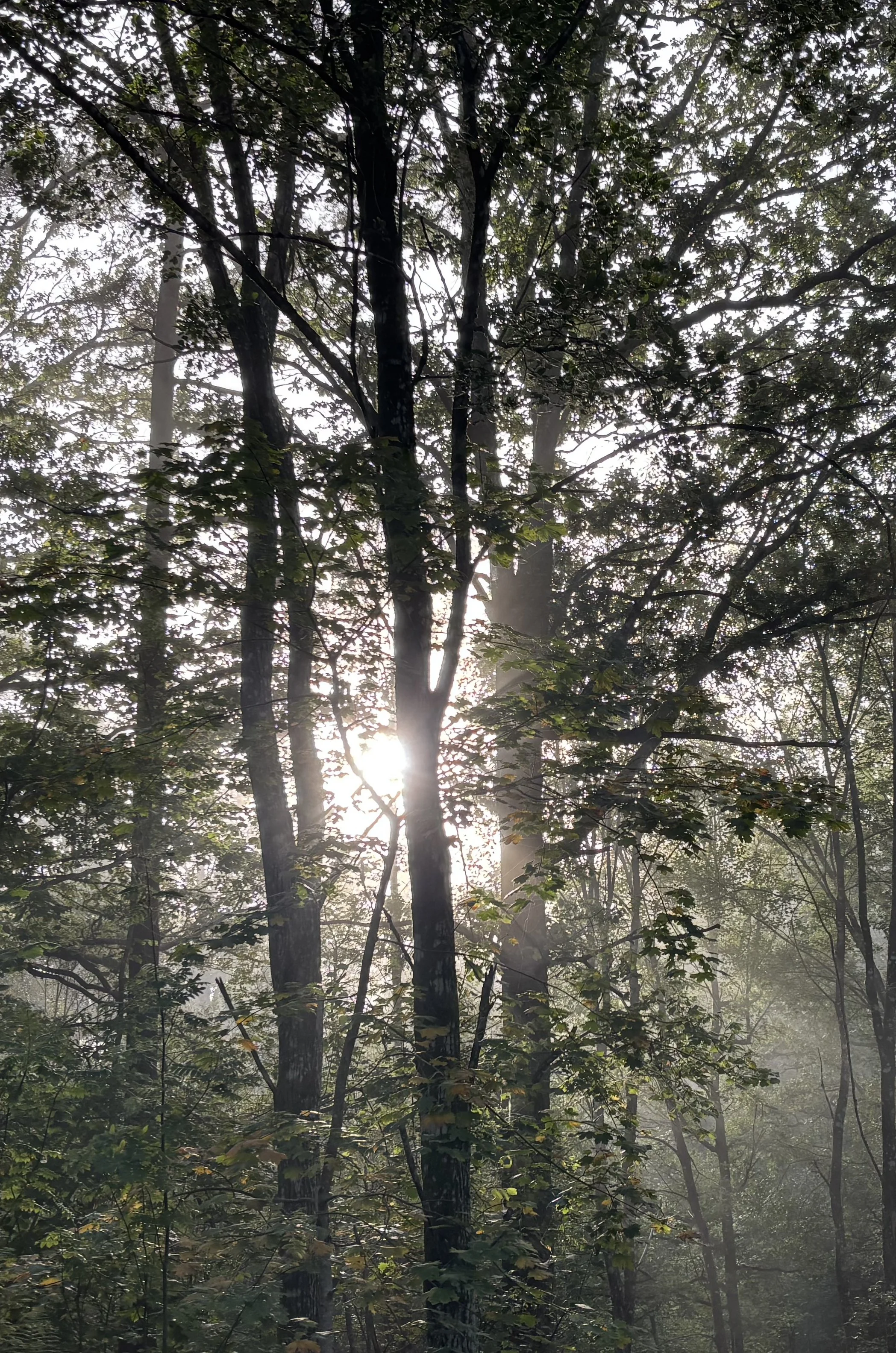 Billig terapi på Nääs Fabriker utanför Göteborg. Billigt erbjudande hos legitimerad psykolog.
