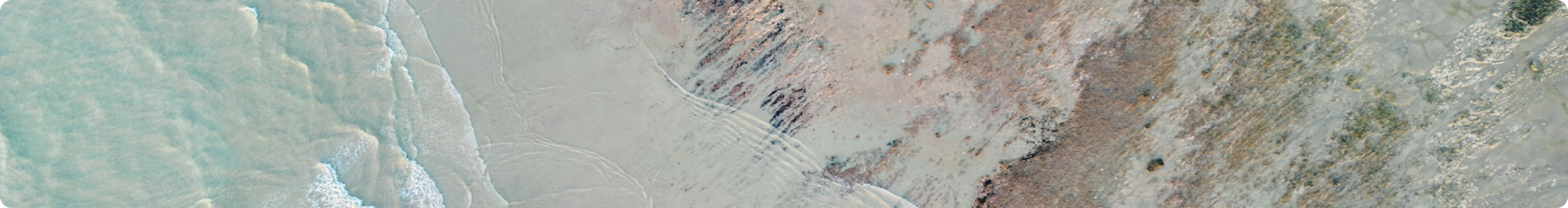Aerial view of a desert landscape with salt flats, rocky terrain, and sparse vegetation.