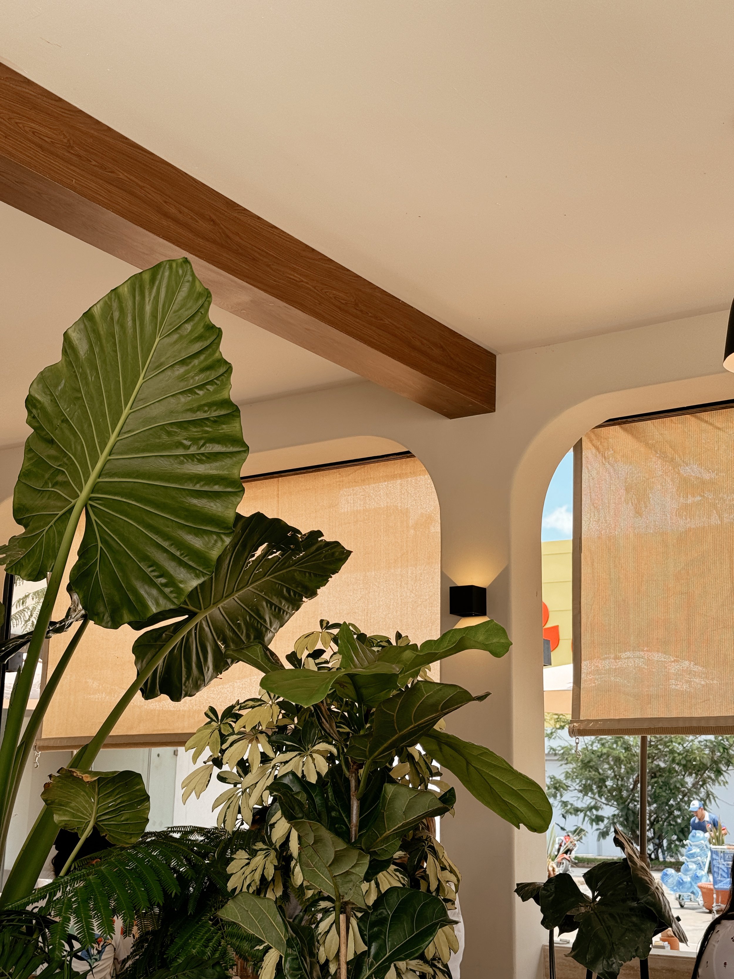 Bright indoor space with tropical plants, wooden beams and an arched window, wellness or lifestyle business aesthetic