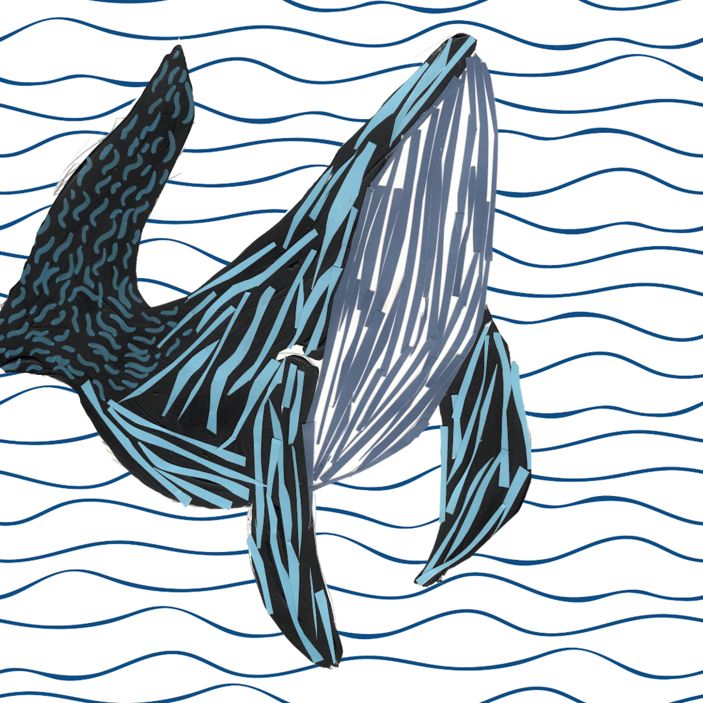 Whale- There is a song inside of you ready to be sung as your joyfully journey with these record keepers of consciousness.