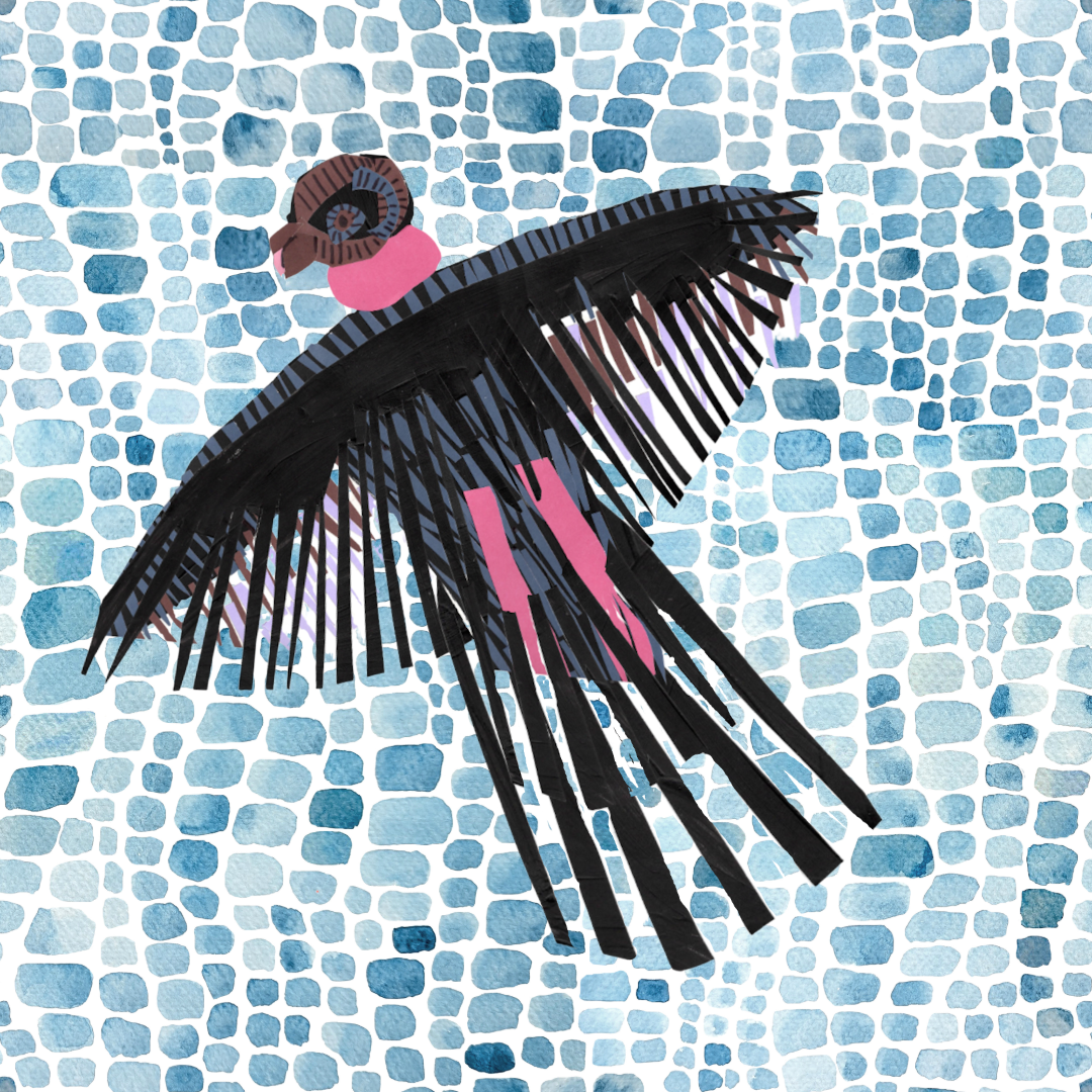 Condor- Fly high in the sky with the condor to reconnect with spirit