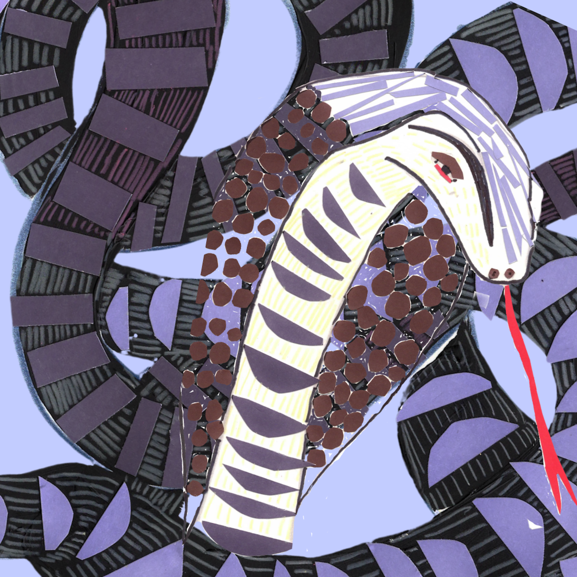Snake- It is time to shed your skin of everything that you are not and begin again.