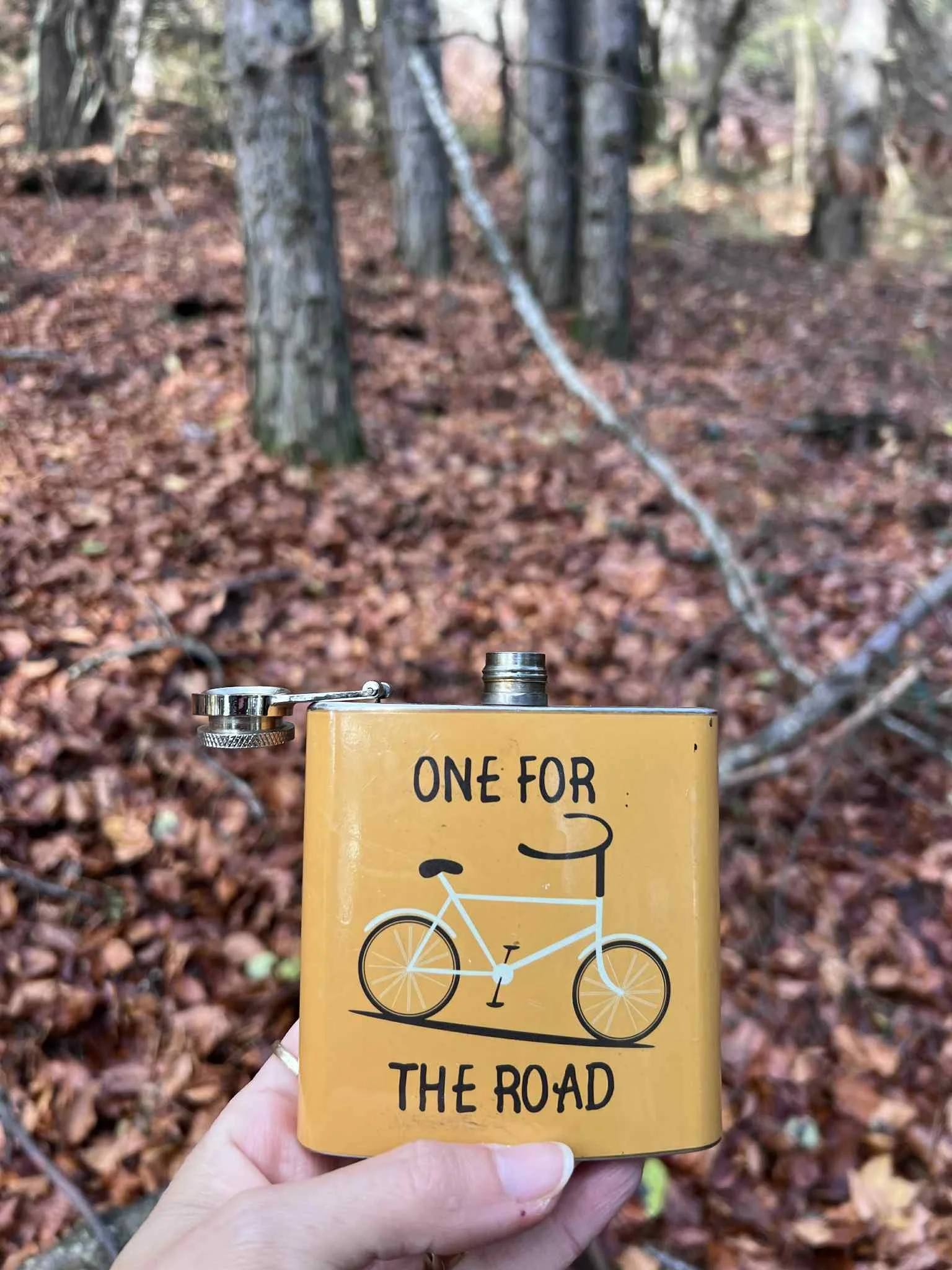 December in Goumenissa: Traditions, Celebrations, and Coming Home