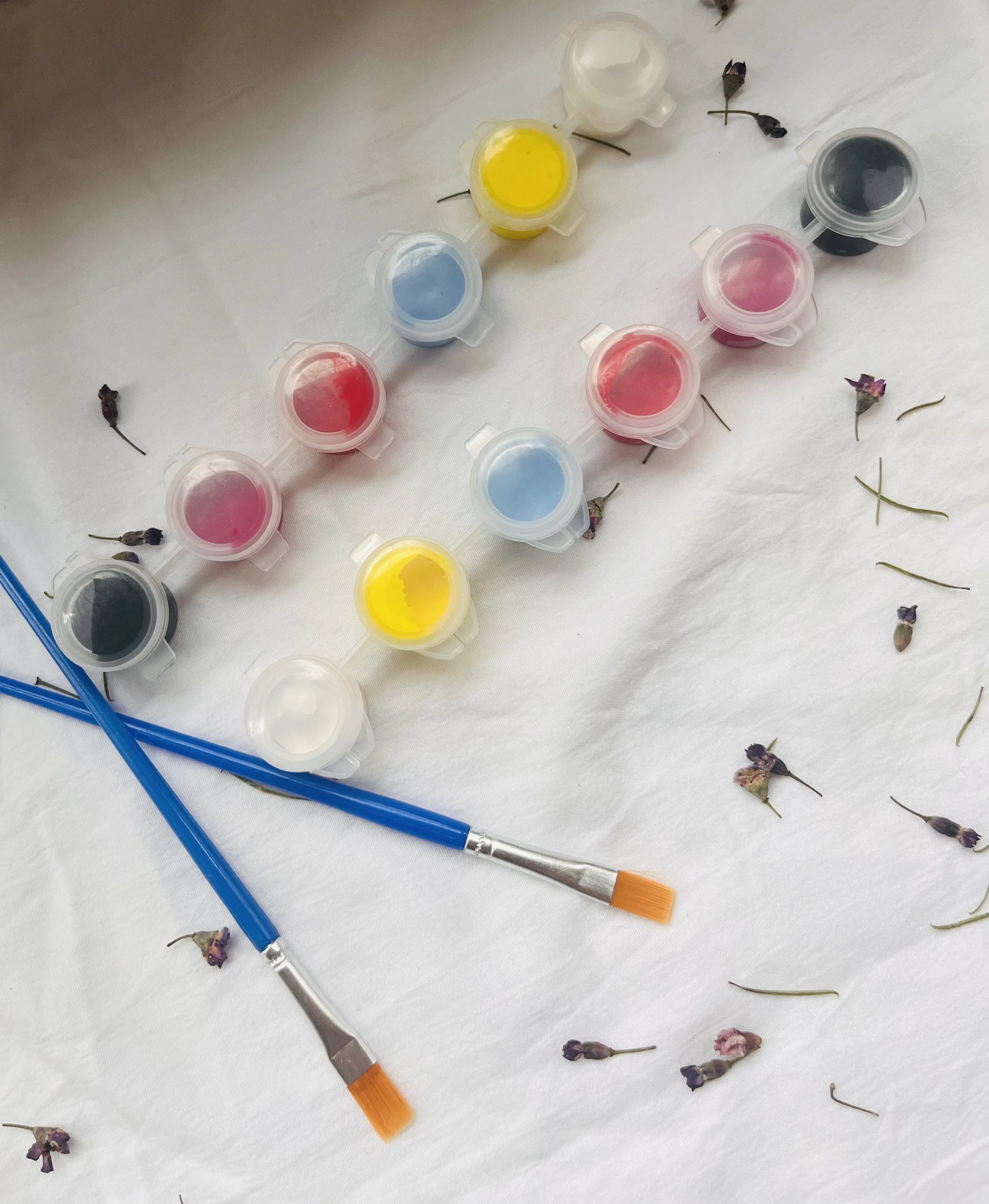 Paint Kit