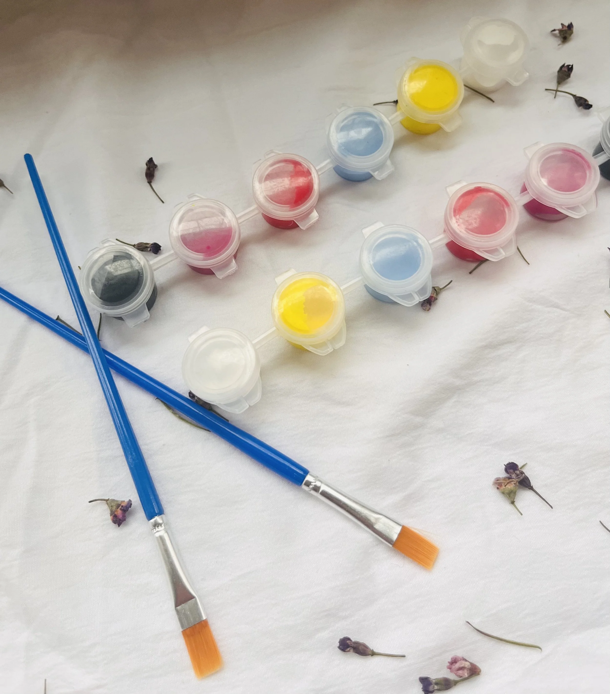 DIY Paint Kit