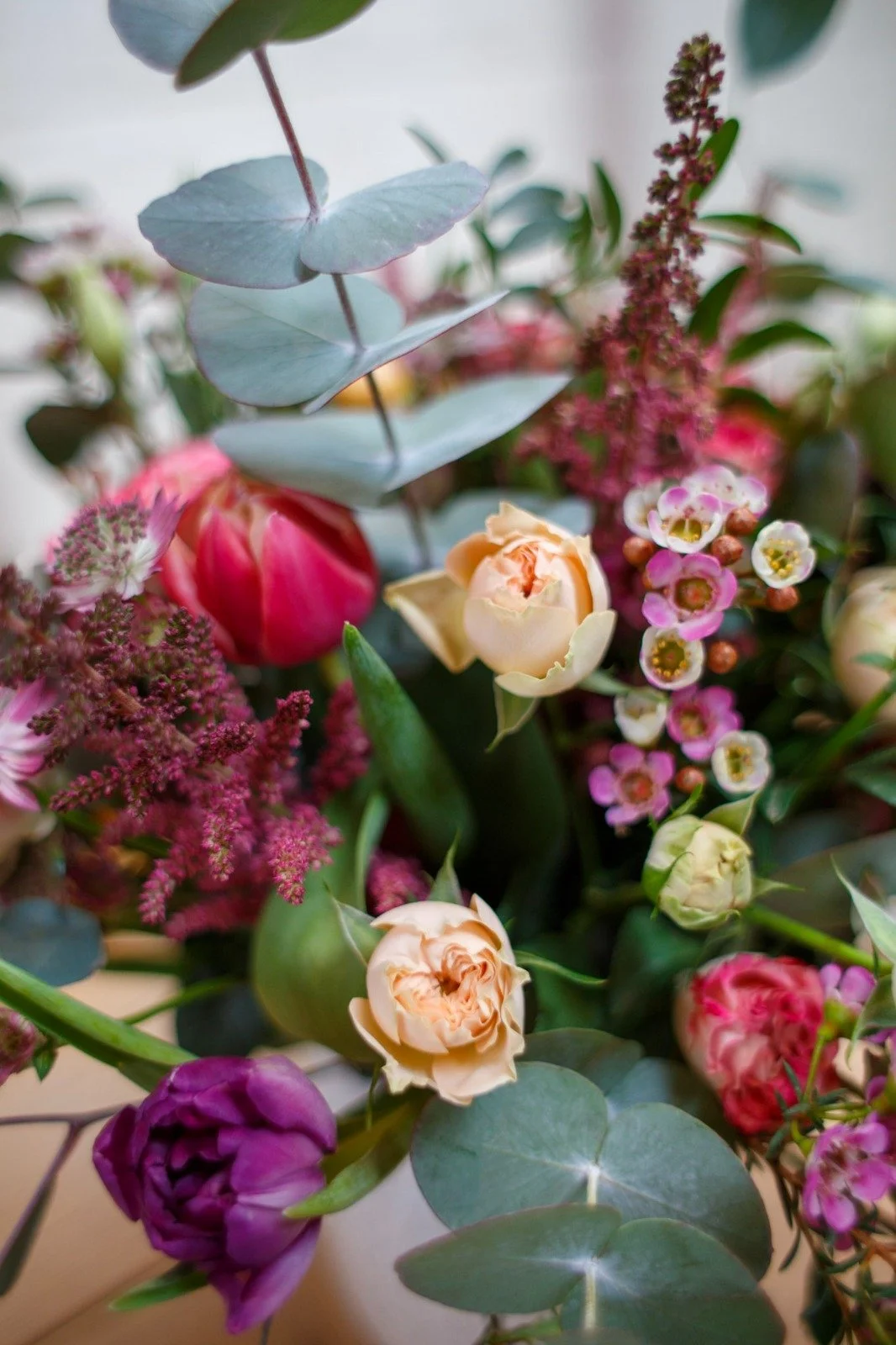 PHOTO-2026-01-10-15-34-23 (2).jpg