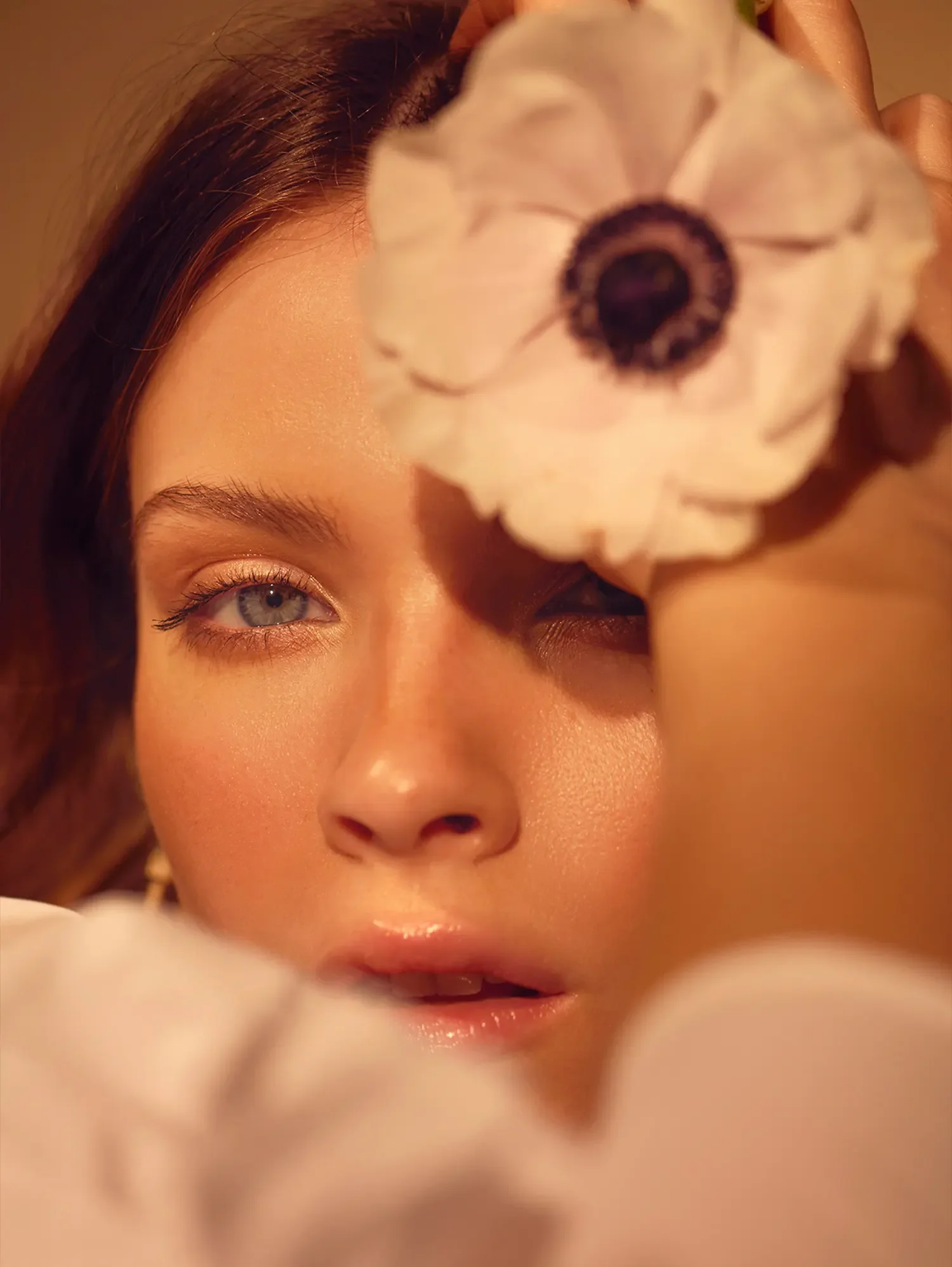 beauty-flower-still-images-soft-creative-4.webp