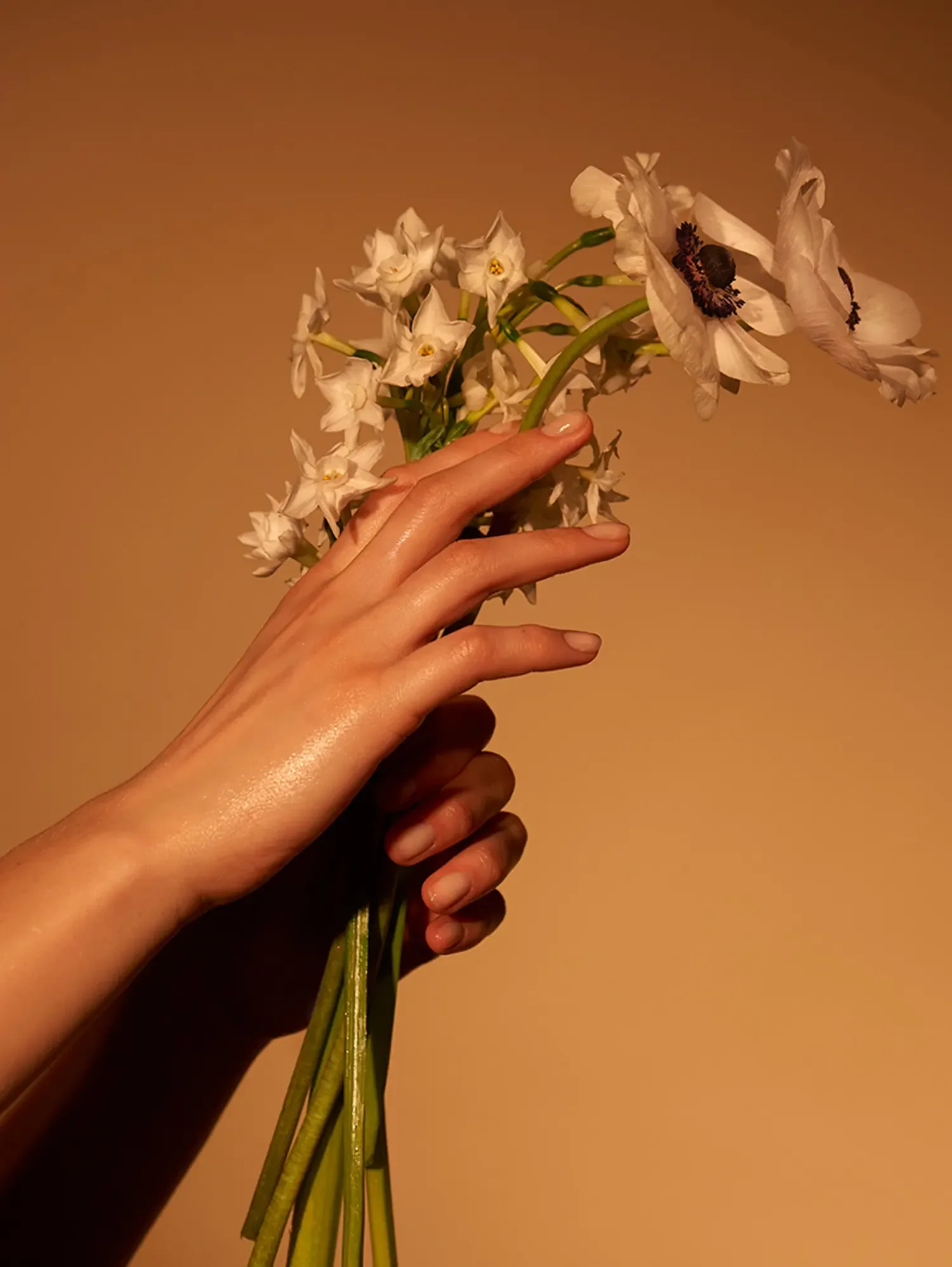 flower-still-images-soft-hand9.webp