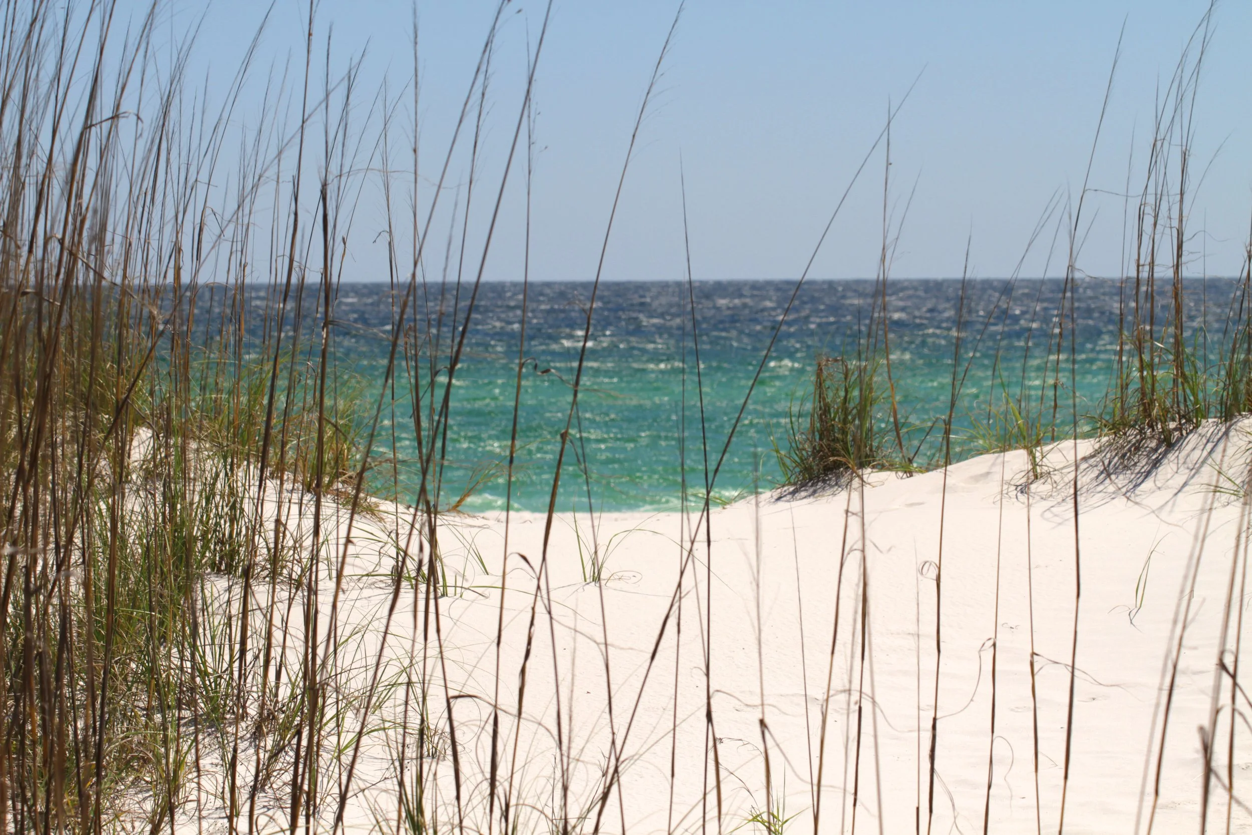 Too early to talk Spring Break? 