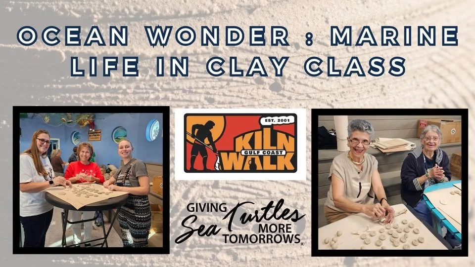 Navarre Beach Sea Turtle Conservation Center Hosts Two Marine Life in Clays Classes March 14