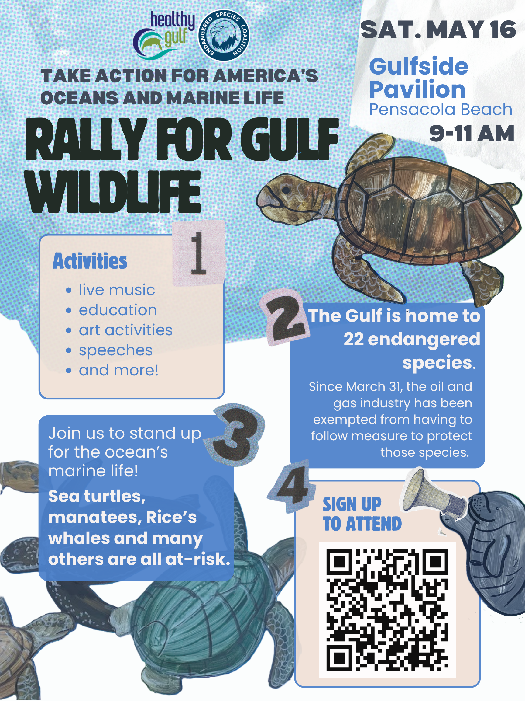 Event Celebrates Endangered Gulf Wildlife