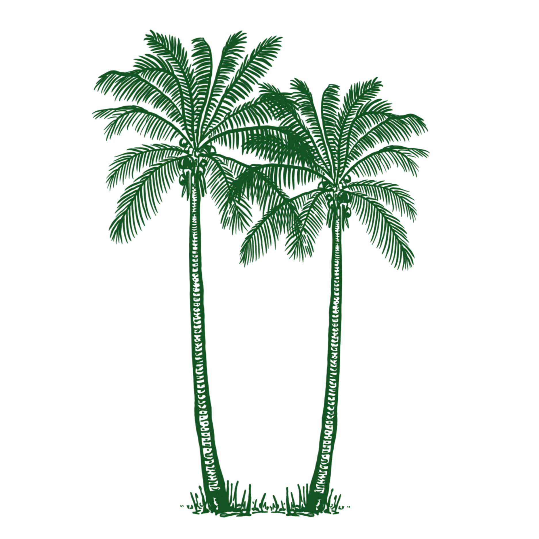 Illustration of palm trees with trunk text that says 'My Palm Trees Are Better Than Your Hay' on the trunk