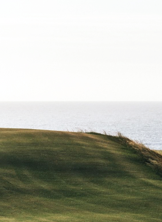 A grassy hill with a body of water in the background under an overcast sky.