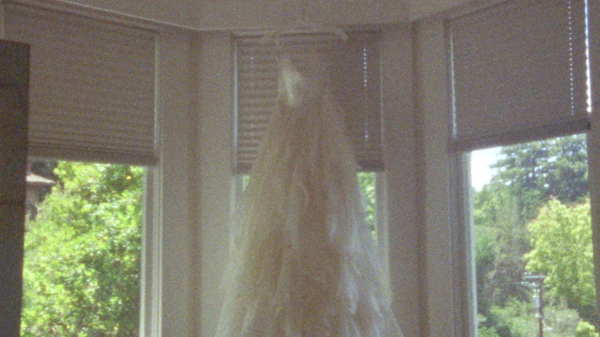 AA_DRESS.jpg