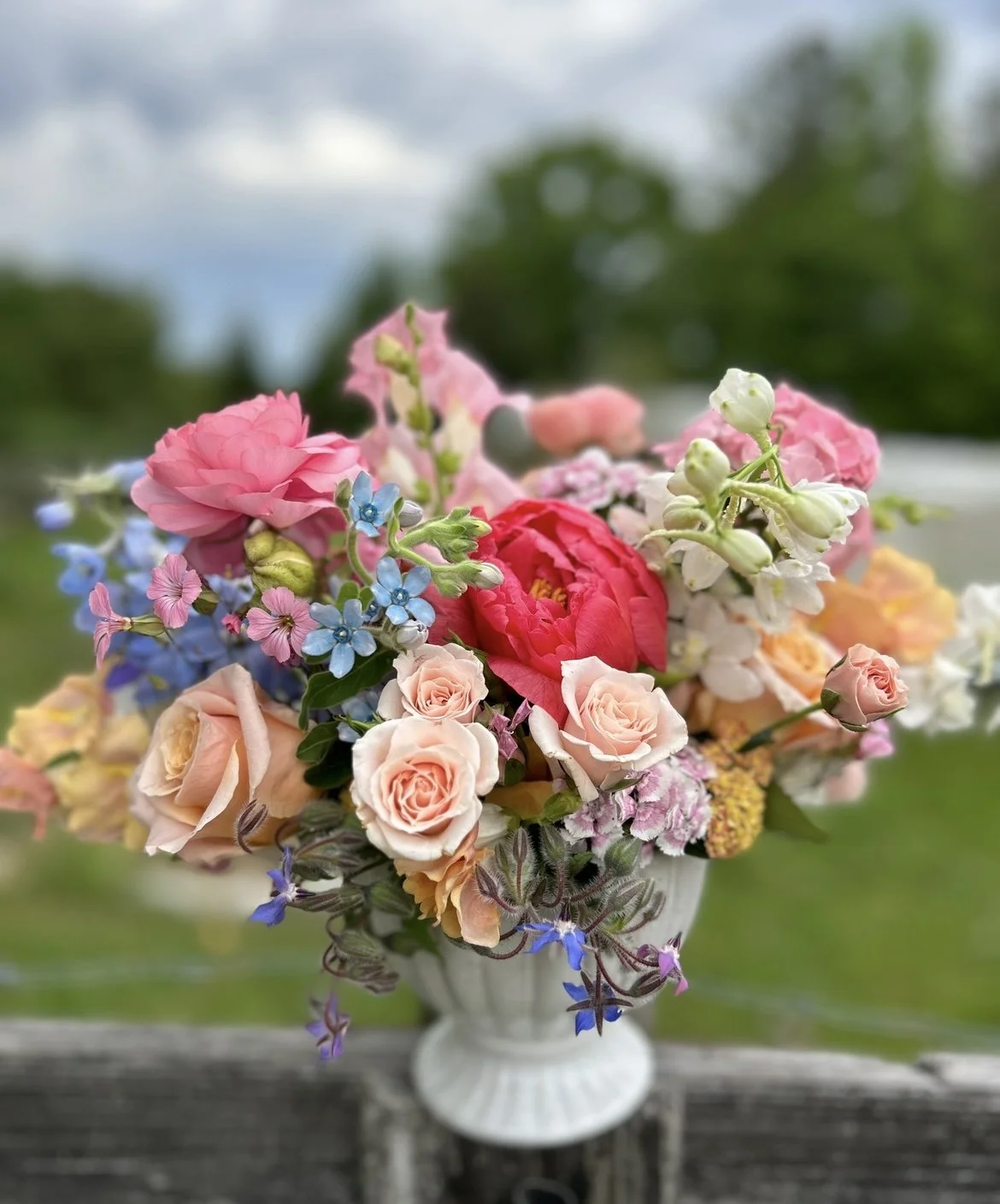 Compote Arrangement