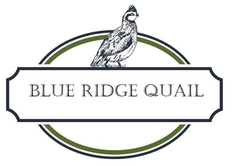 Logo featuring a quail bird above a banner with the text 'Blue Ridge Quail' surrounded by a green and black circular border.