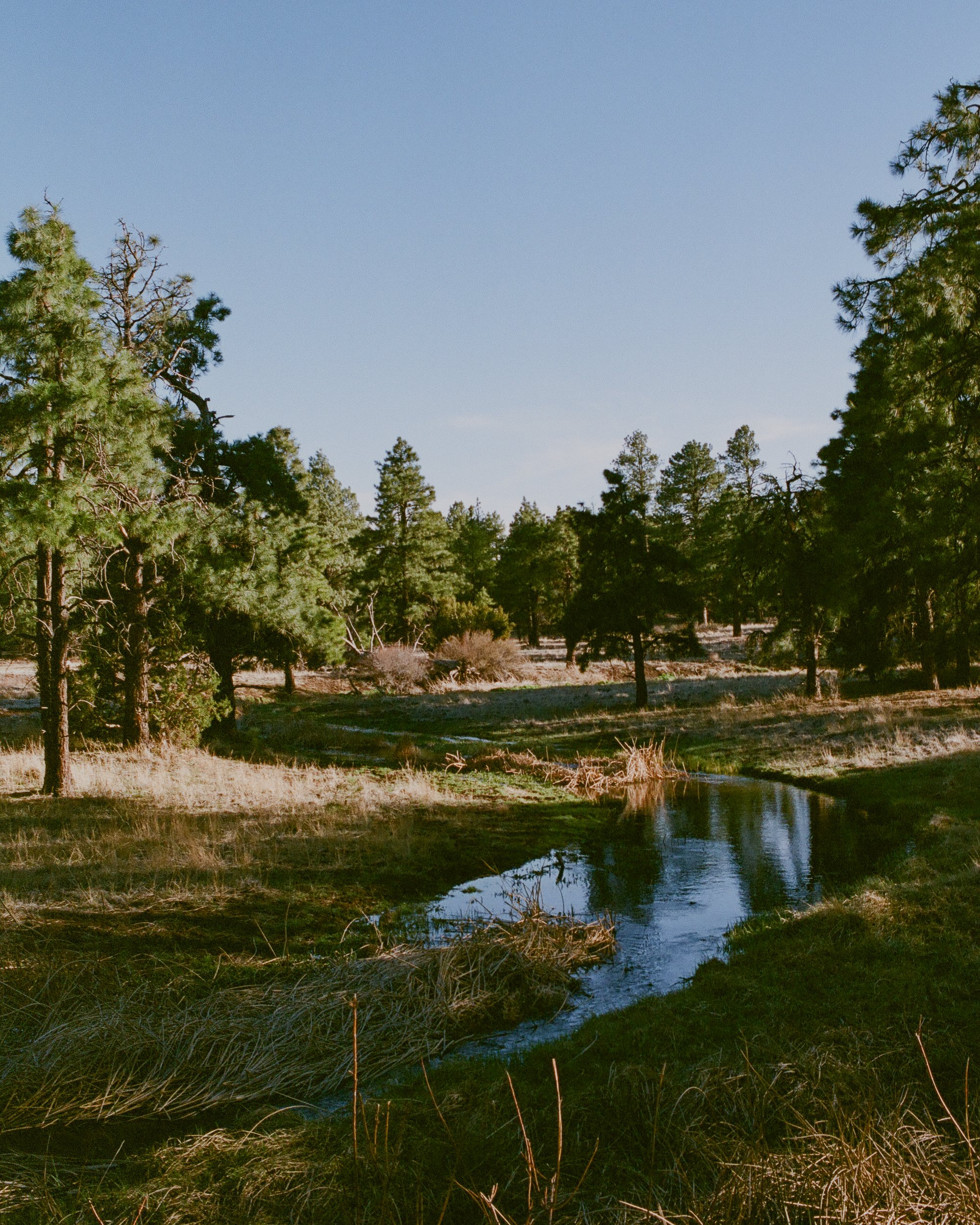 20250822_film_re_edits_0570.jpg