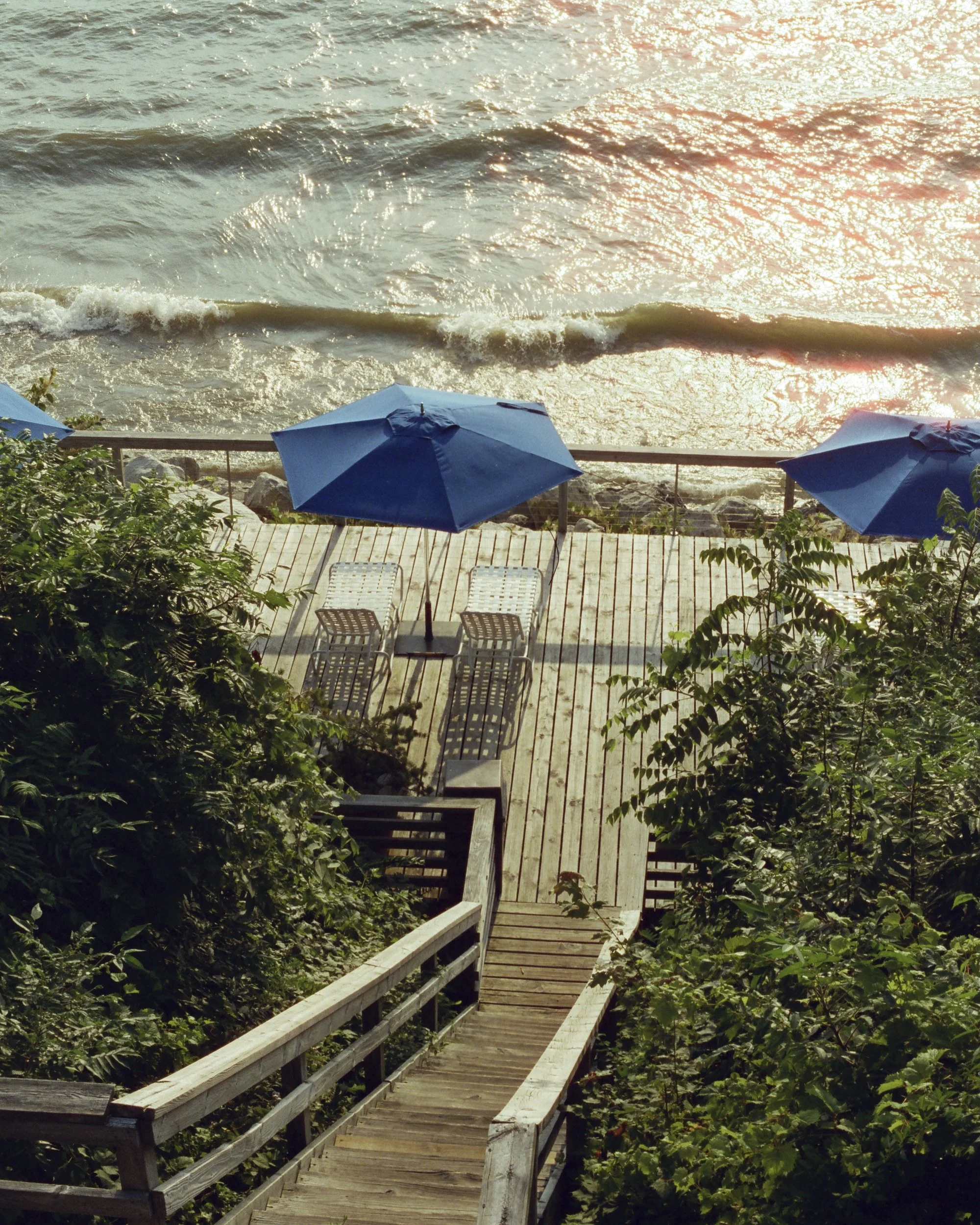 20250822_film_re_edits_0575.jpg