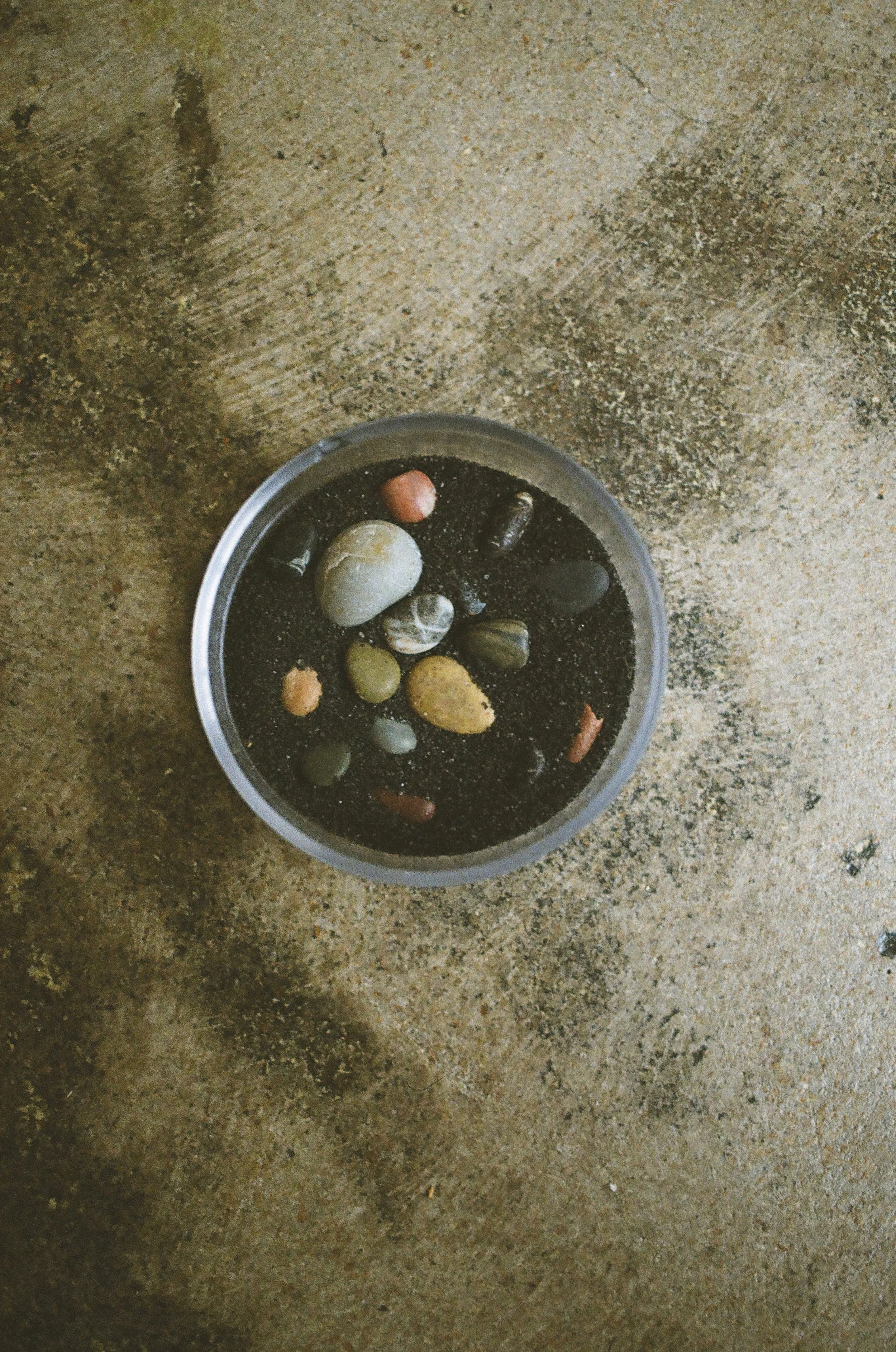 20250822_film_re_edits_0590.jpg